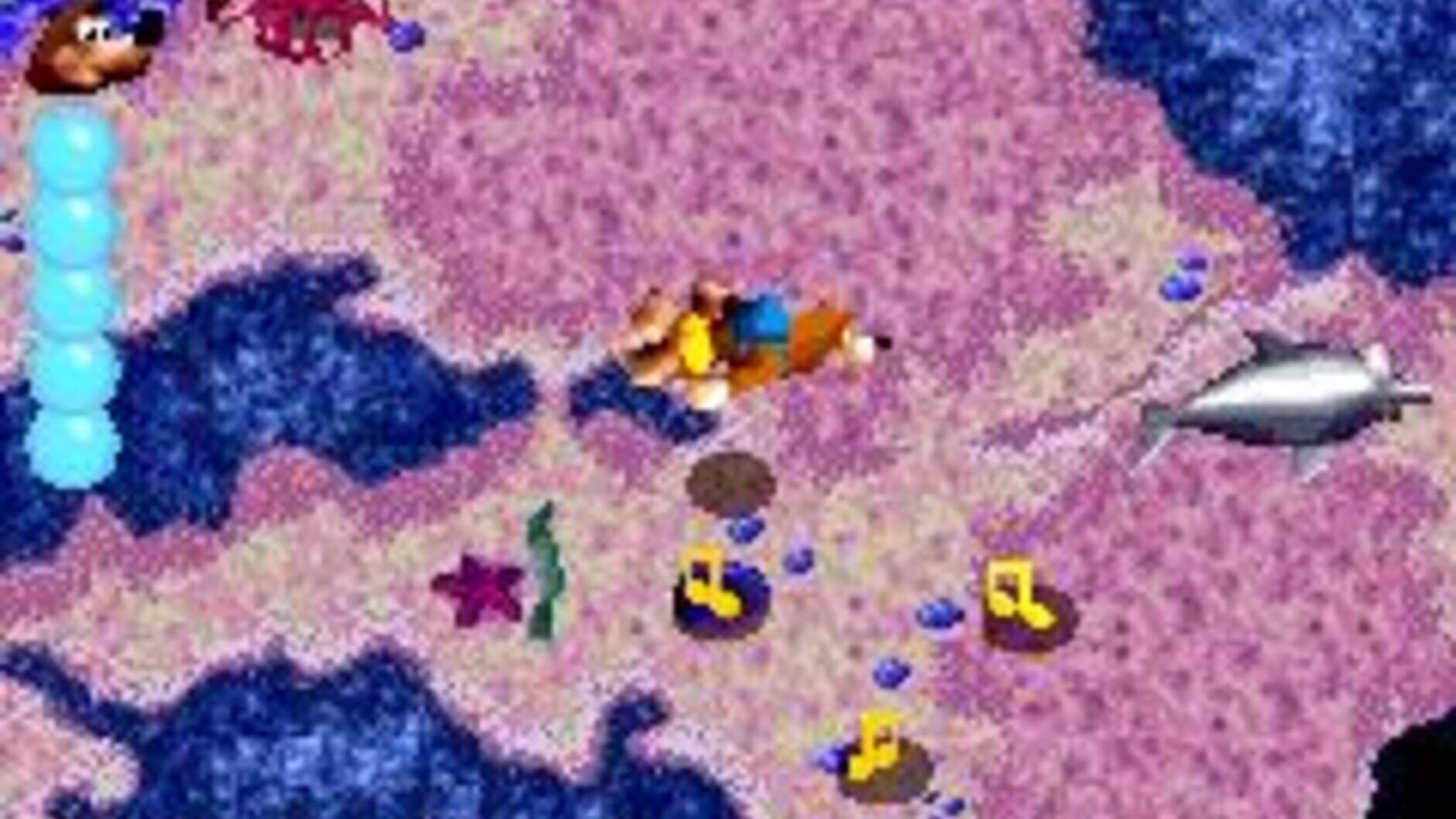 Screenshot for Banjo-Kazooie: Grunty's Revenge