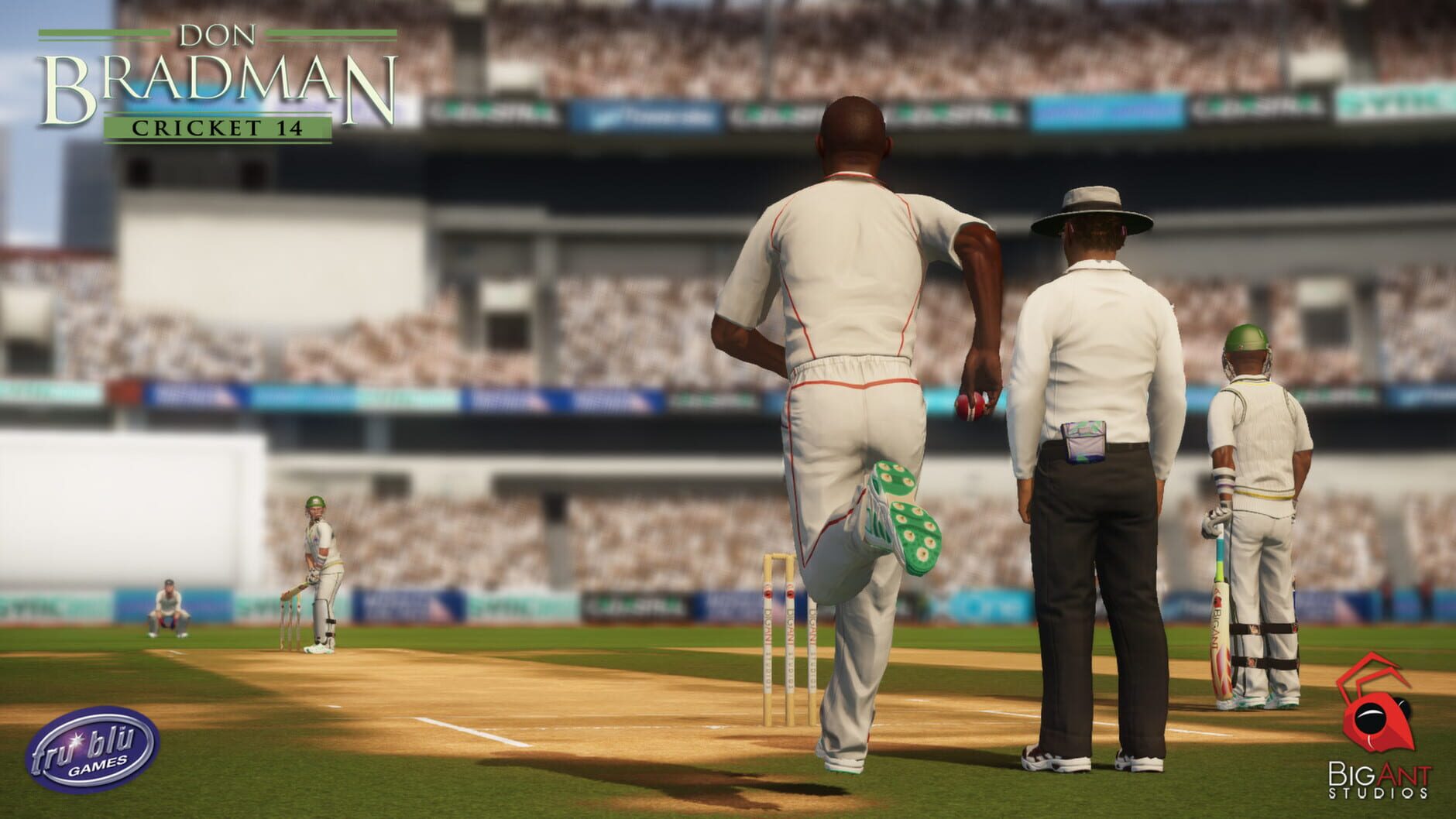 Screenshot for Don Bradman Cricket 14