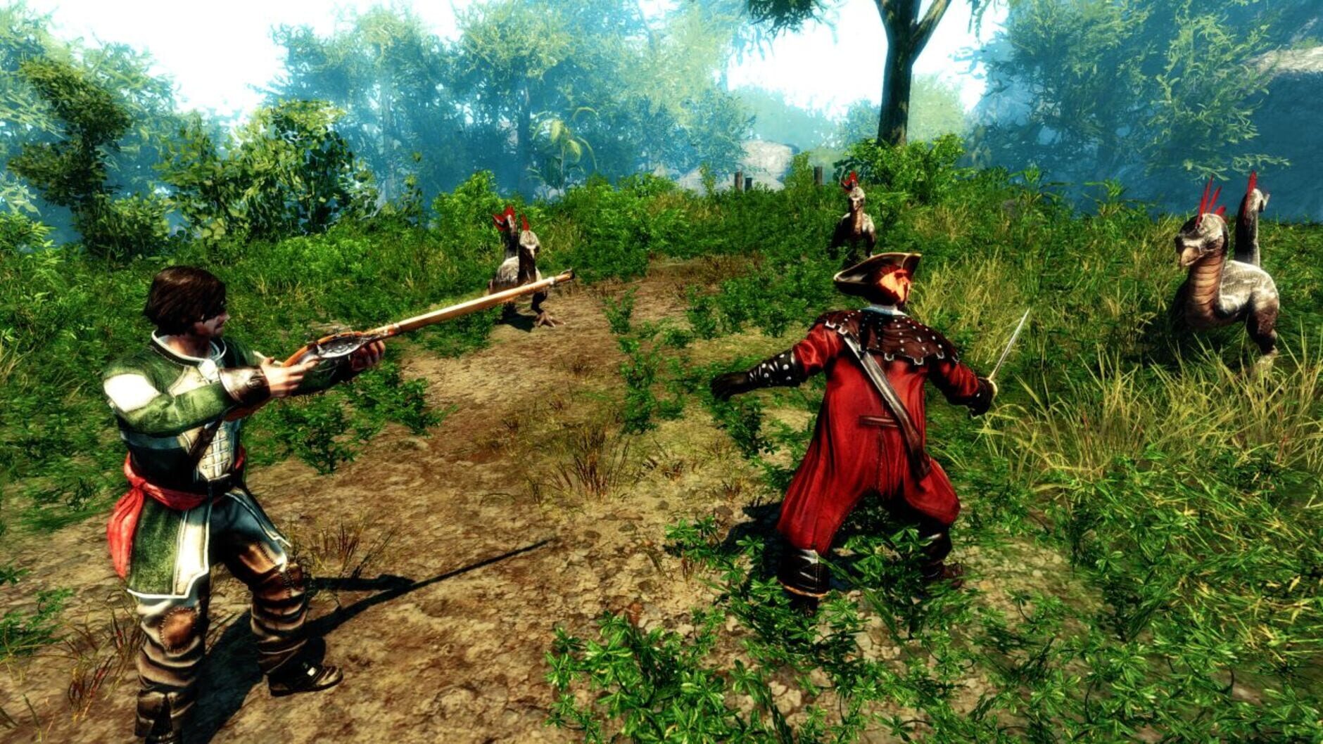 Screenshot for Risen 2: Dark Waters