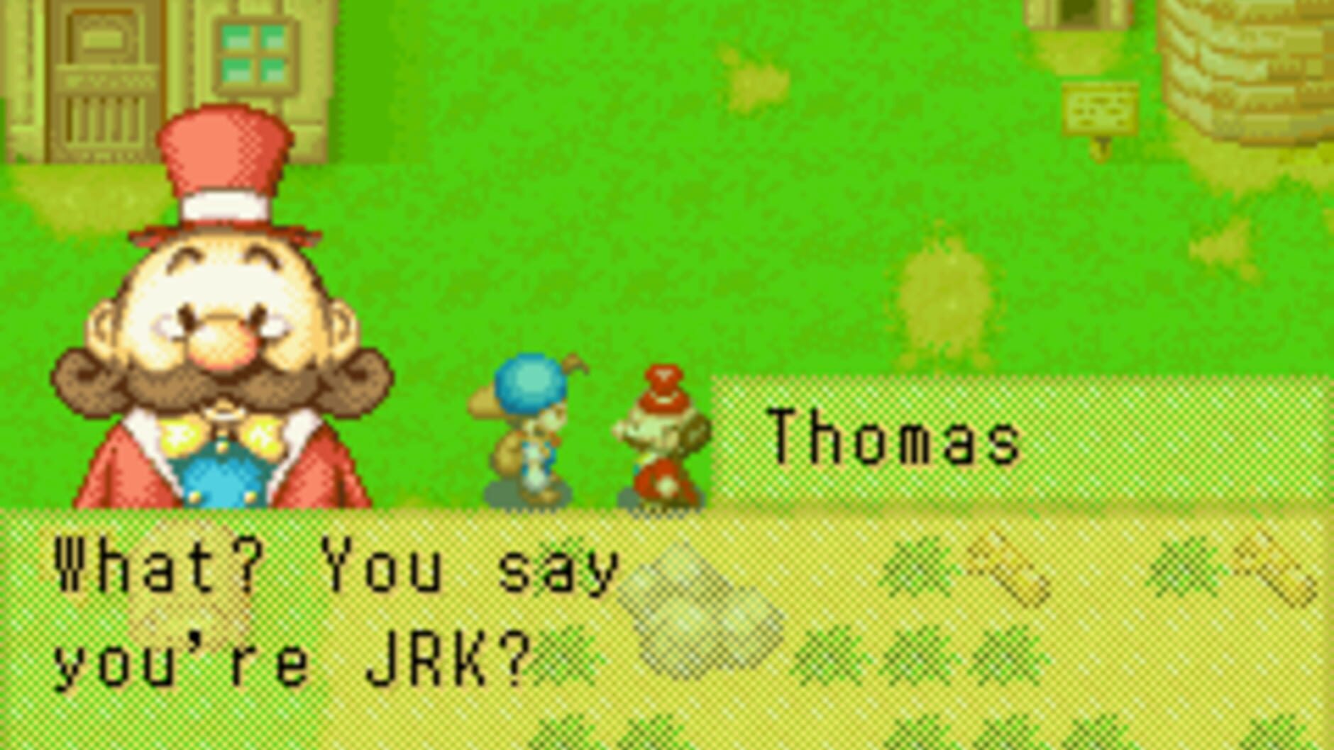 Screenshot for Harvest Moon: Friends of Mineral Town