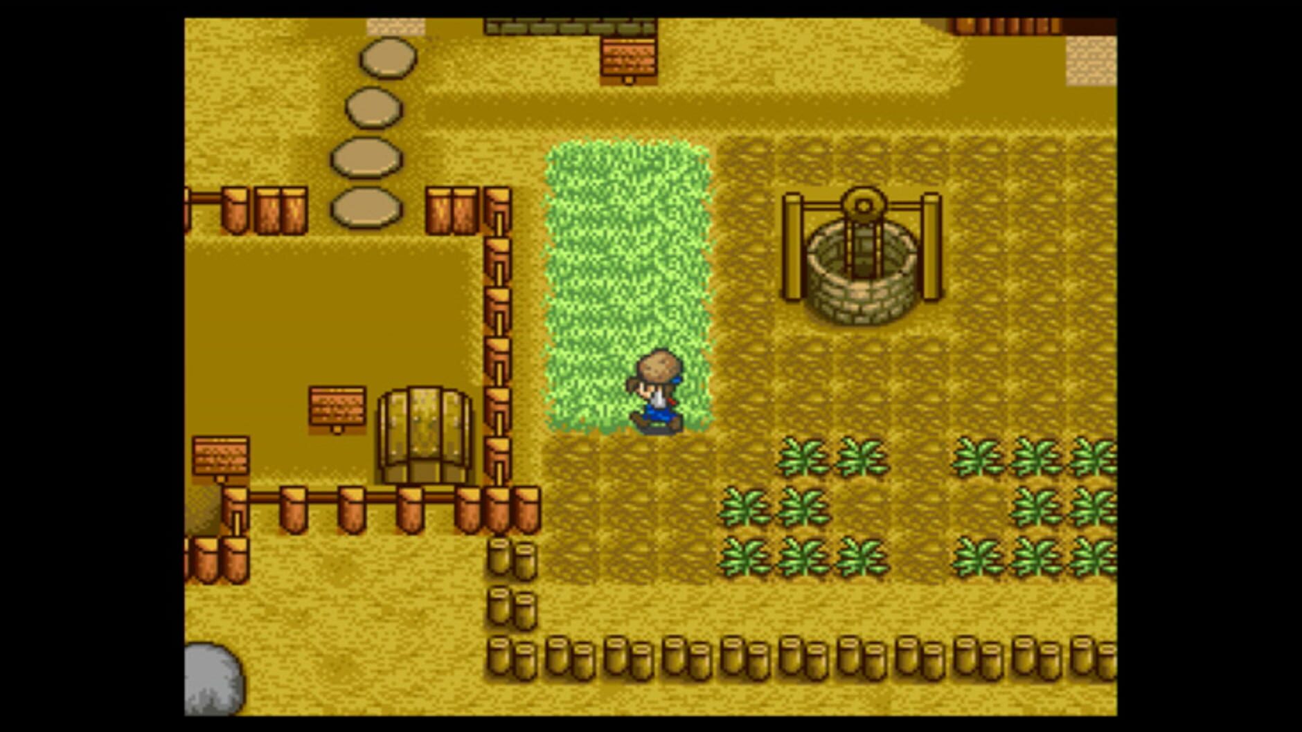 Screenshot for Harvest Moon