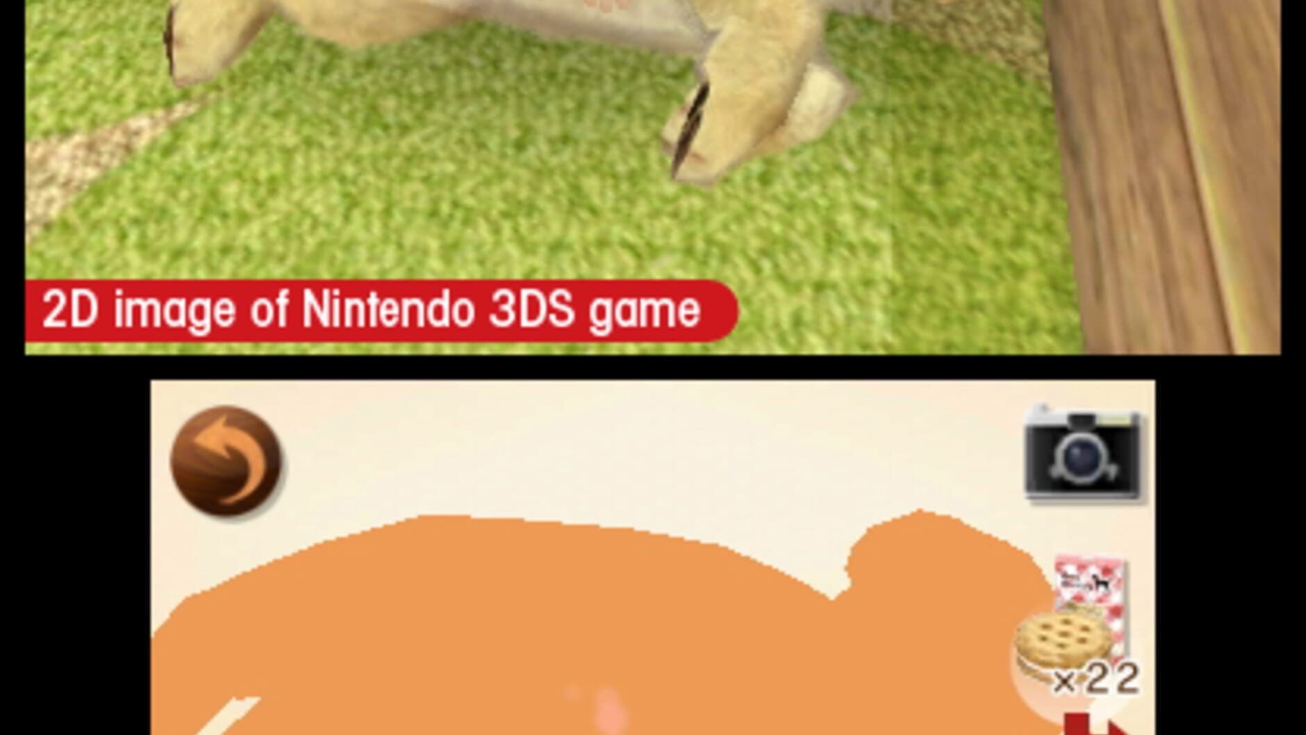 Screenshot for Nintendogs + Cats: French Bulldog & New Friends