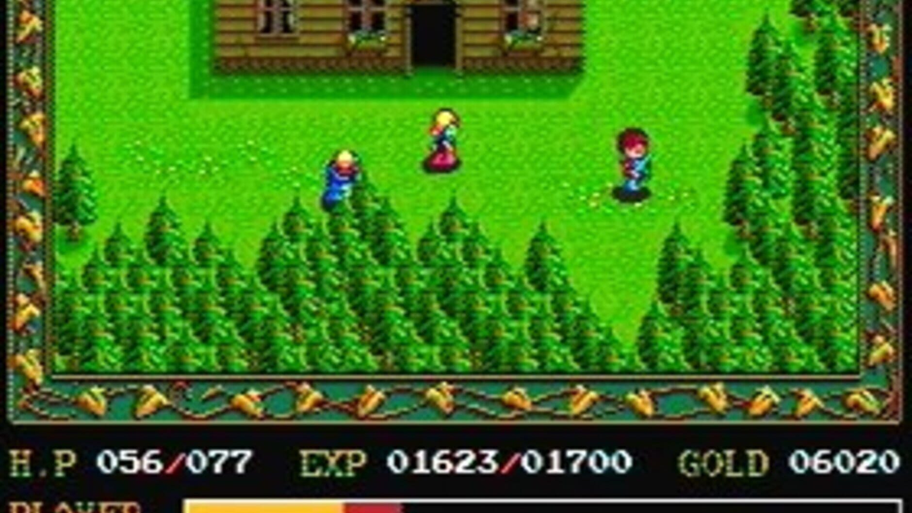 Screenshot for Ys: Book I & II