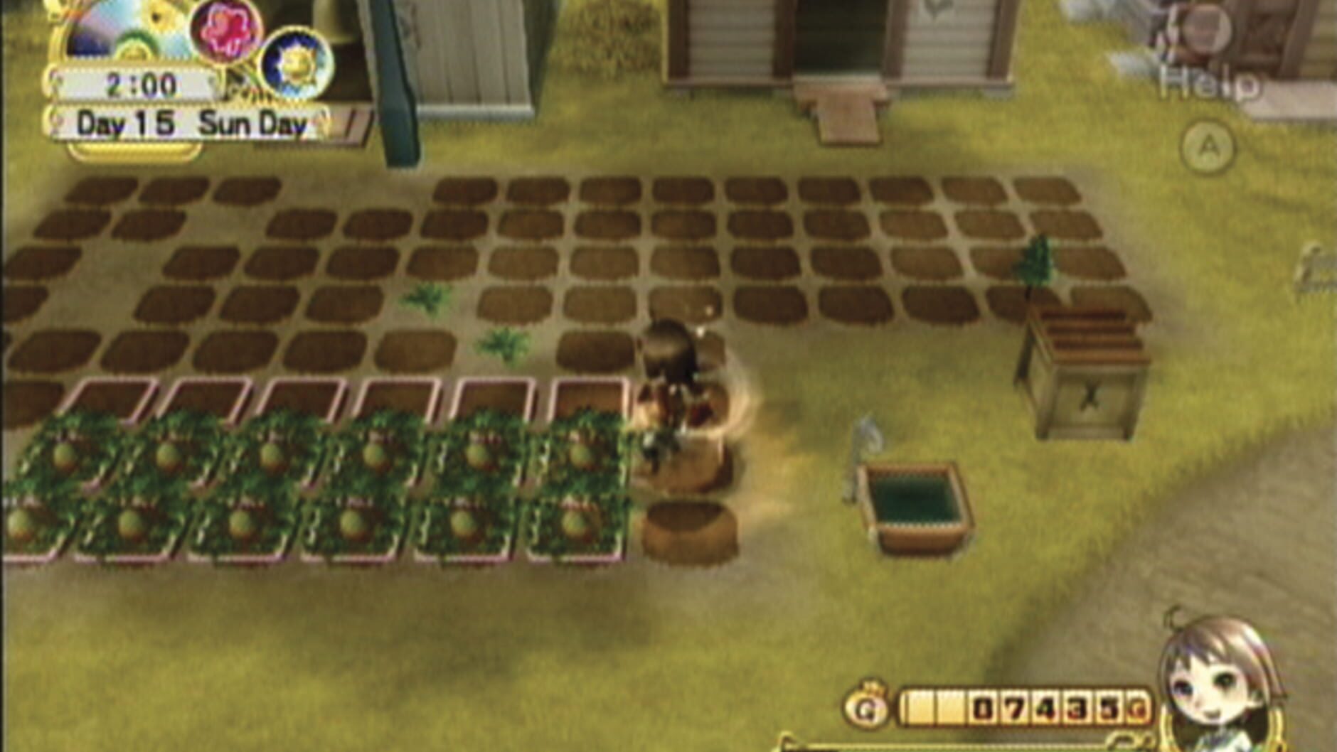 Screenshot for Harvest Moon: Tree of Tranquility