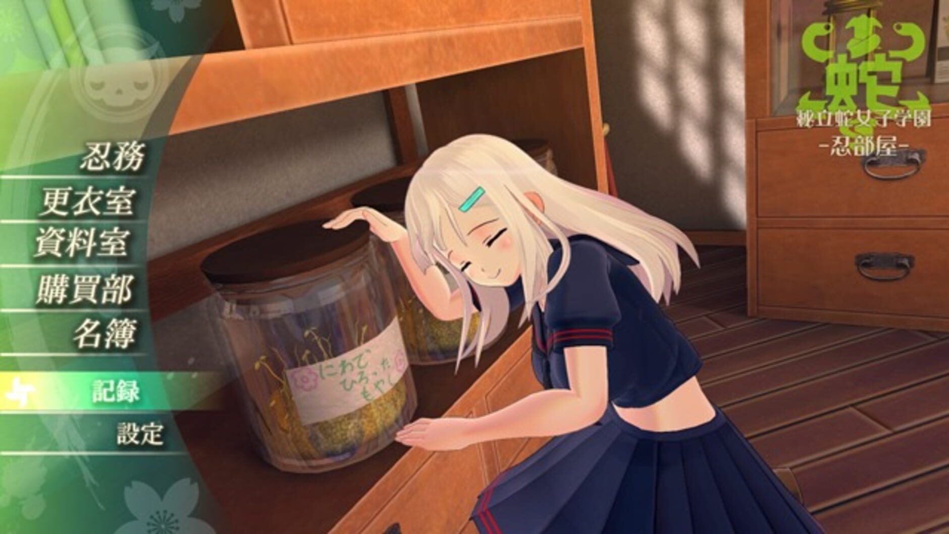 Screenshot for Senran Kagura Burst Re:Newal
