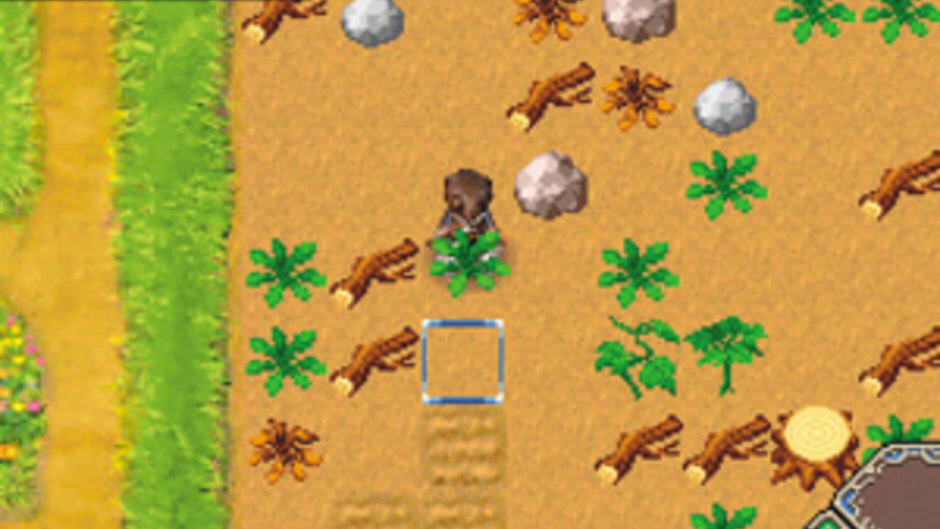 Screenshot for Rune Factory: A Fantasy Harvest Moon
