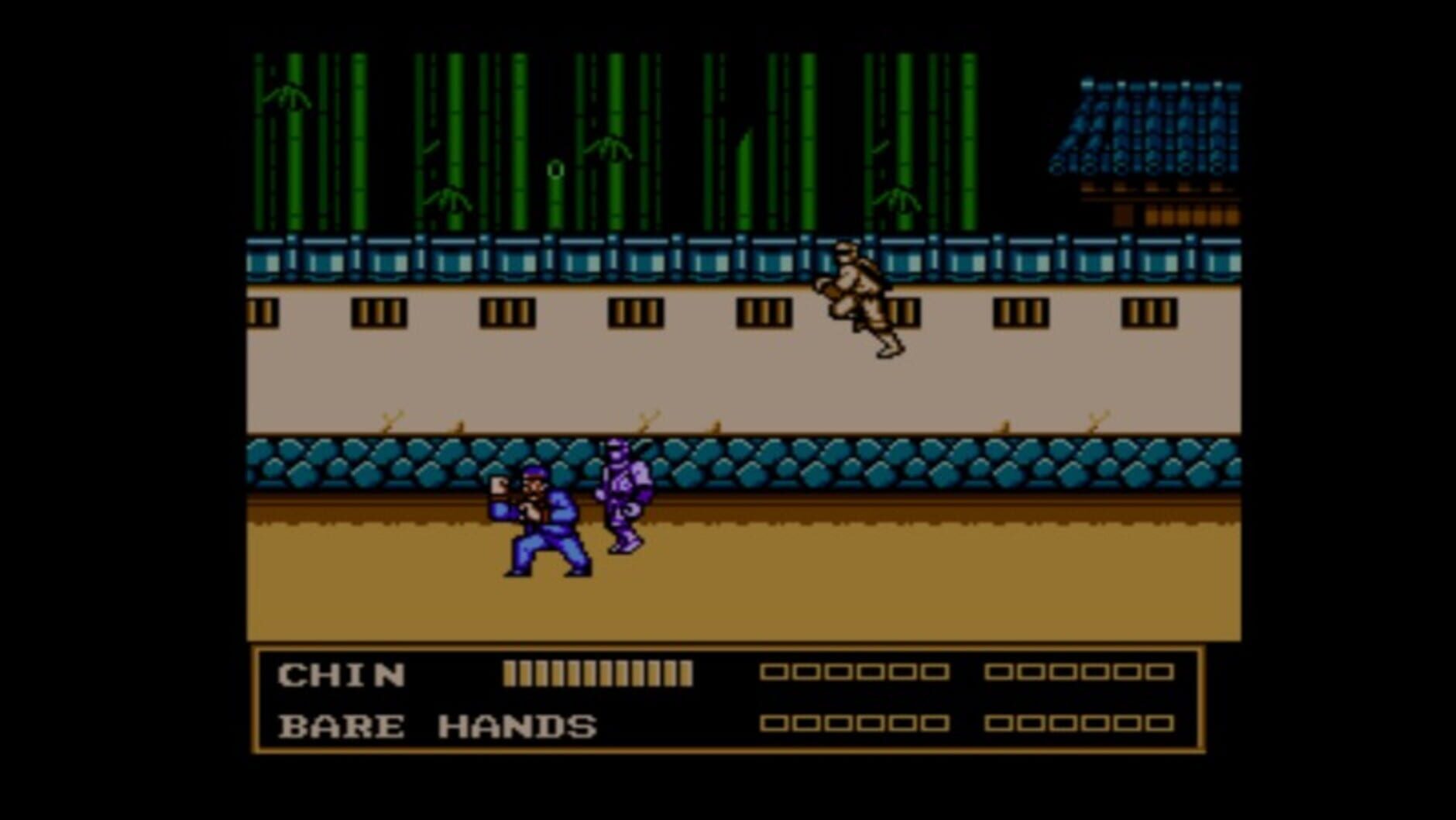 Screenshot for Double Dragon III: The Sacred Stones
