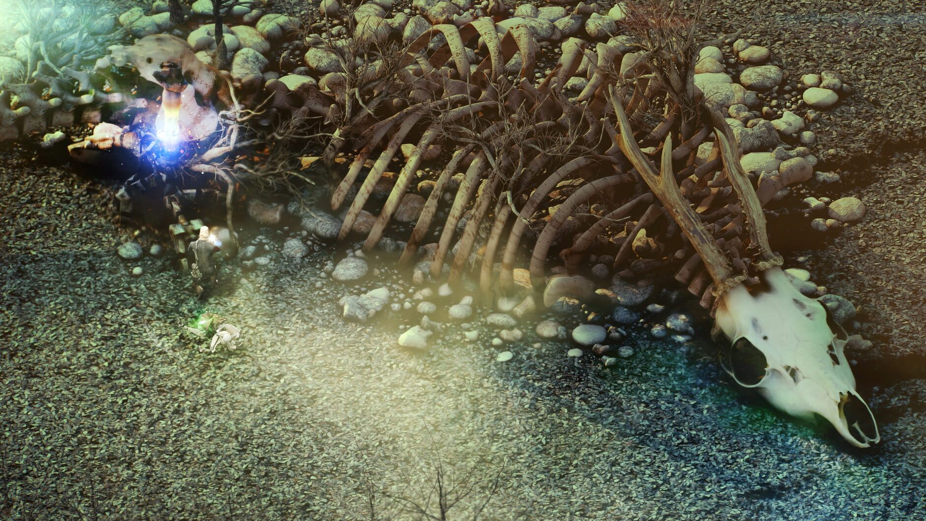 Screenshot for Beautiful Desolation