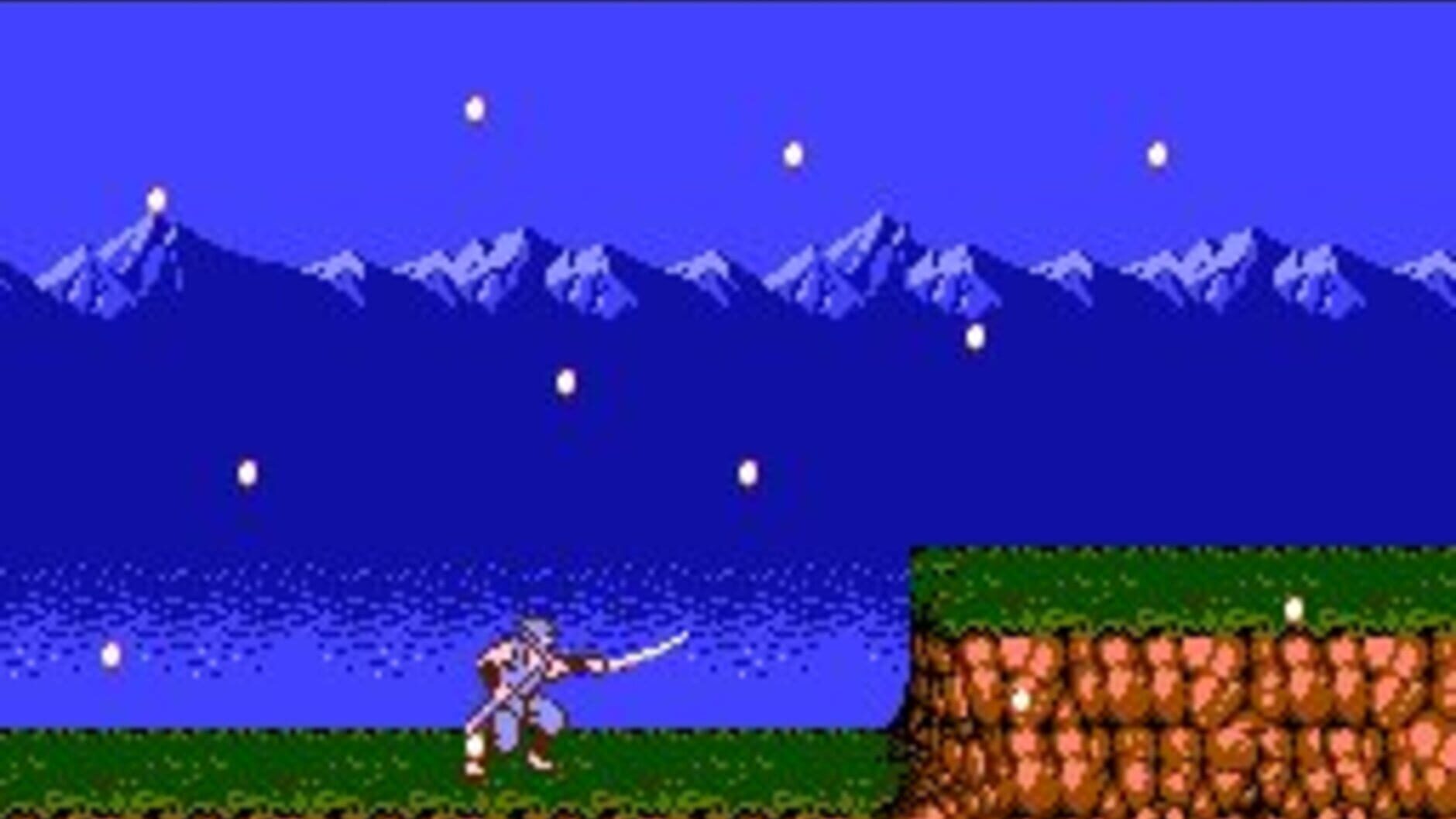 Screenshot for Ninja Gaiden II: The Dark Sword of Chaos