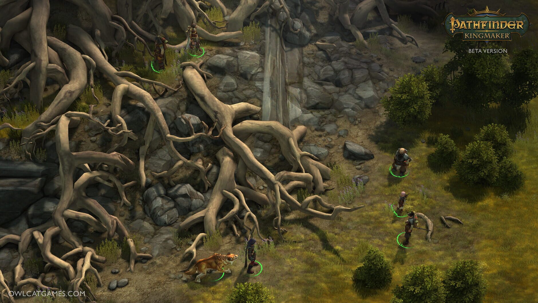 Screenshot for Pathfinder: Kingmaker