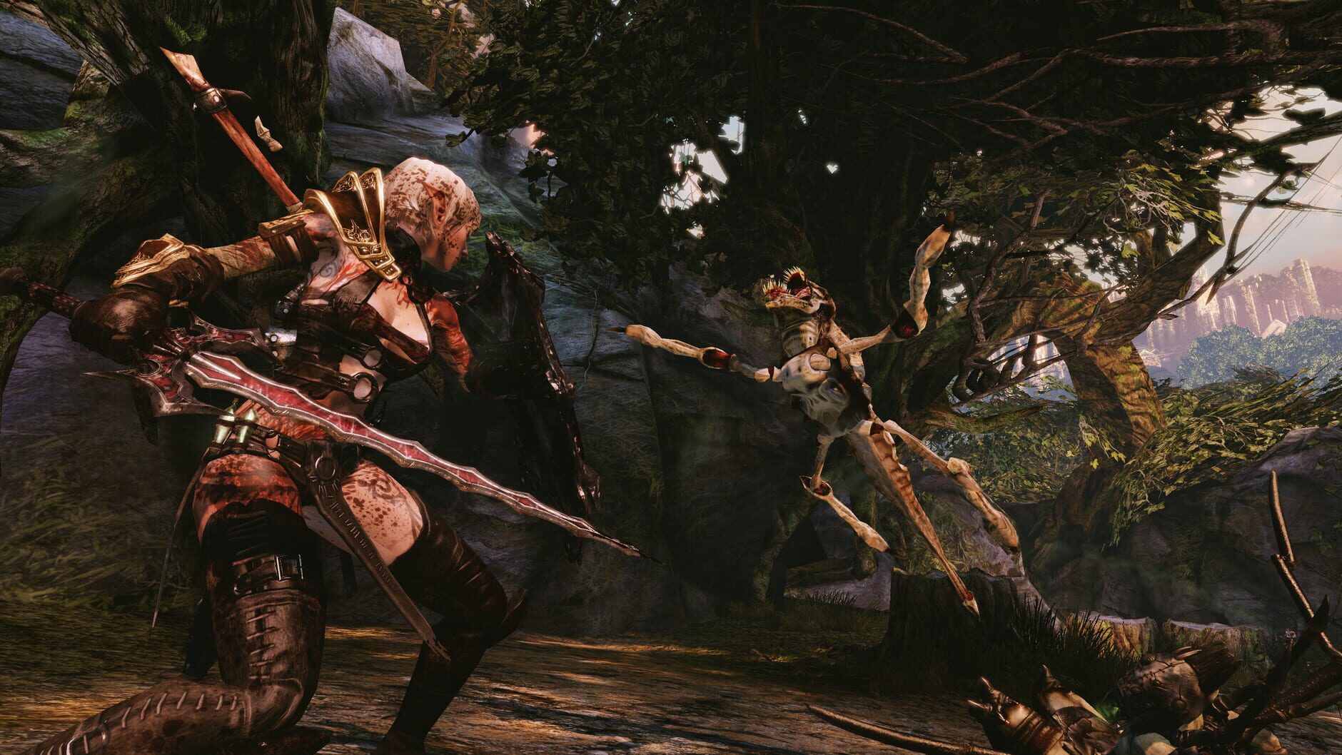 Screenshot for Hunted: The Demon's Forge