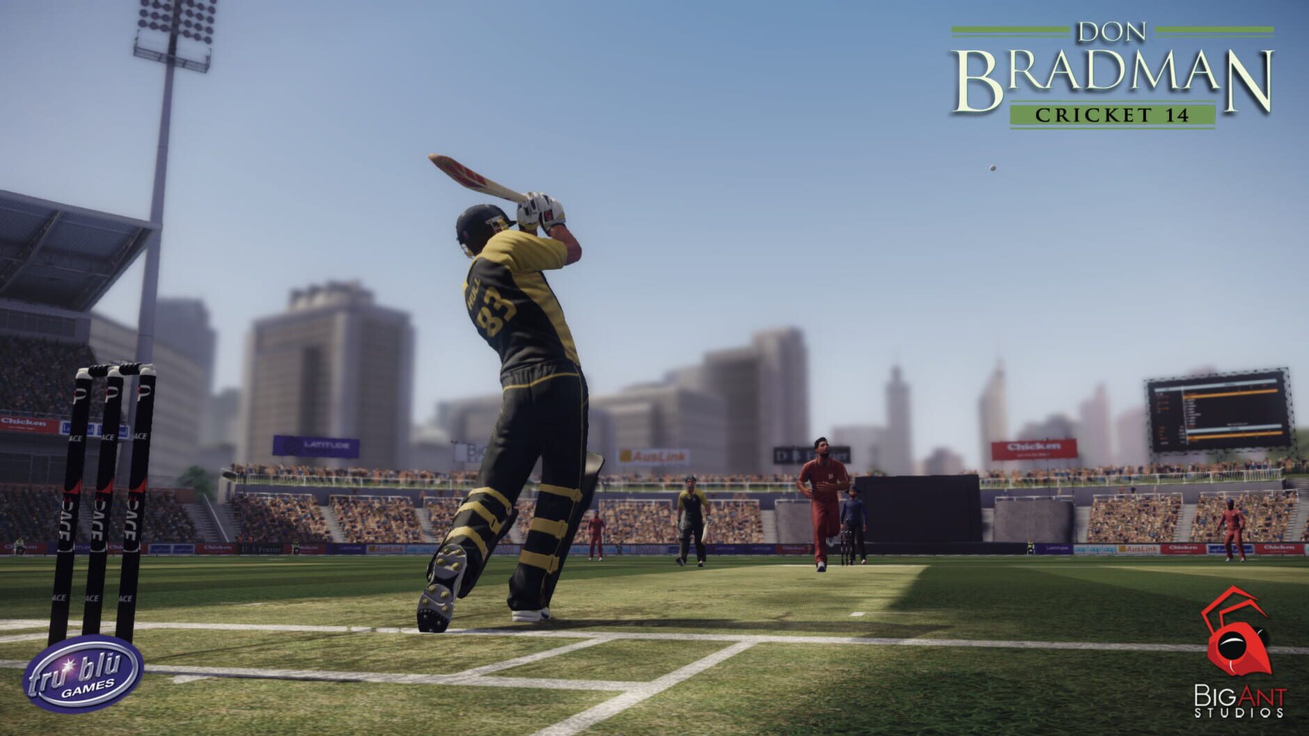 Screenshot for Don Bradman Cricket 14