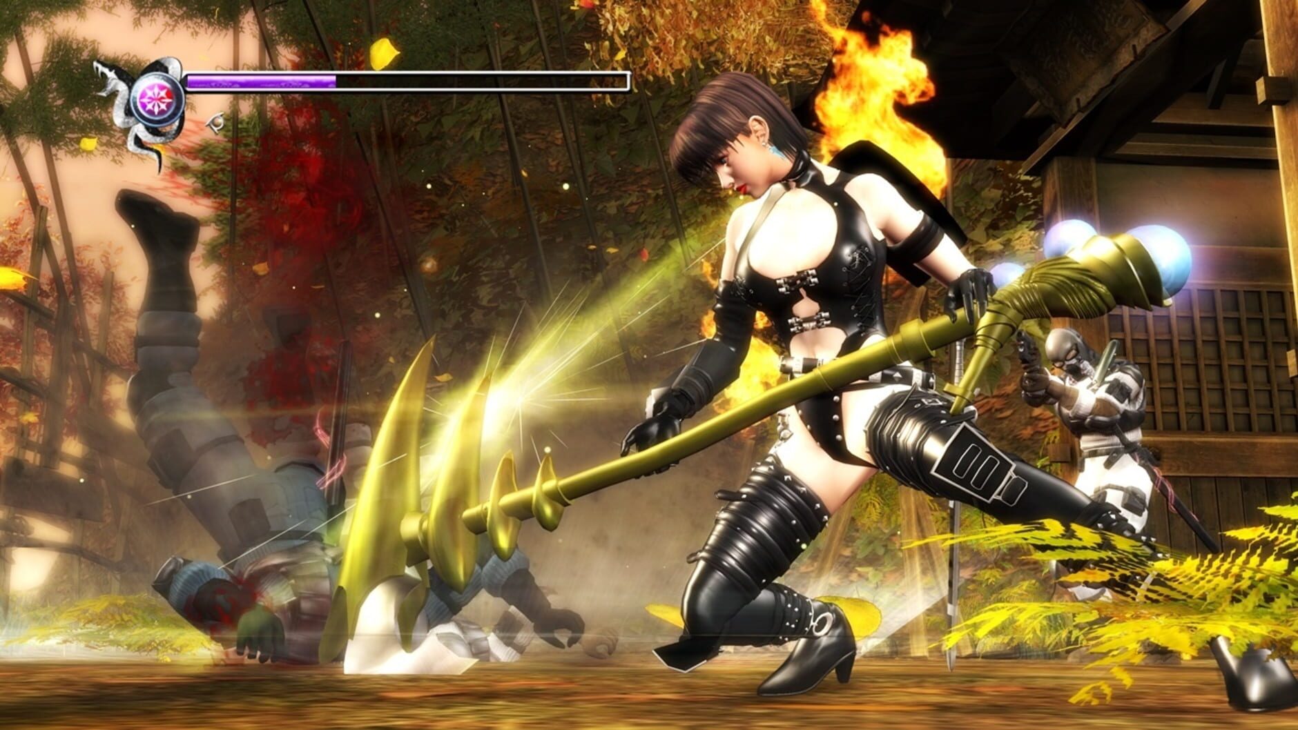 Screenshot for Ninja Gaiden Sigma