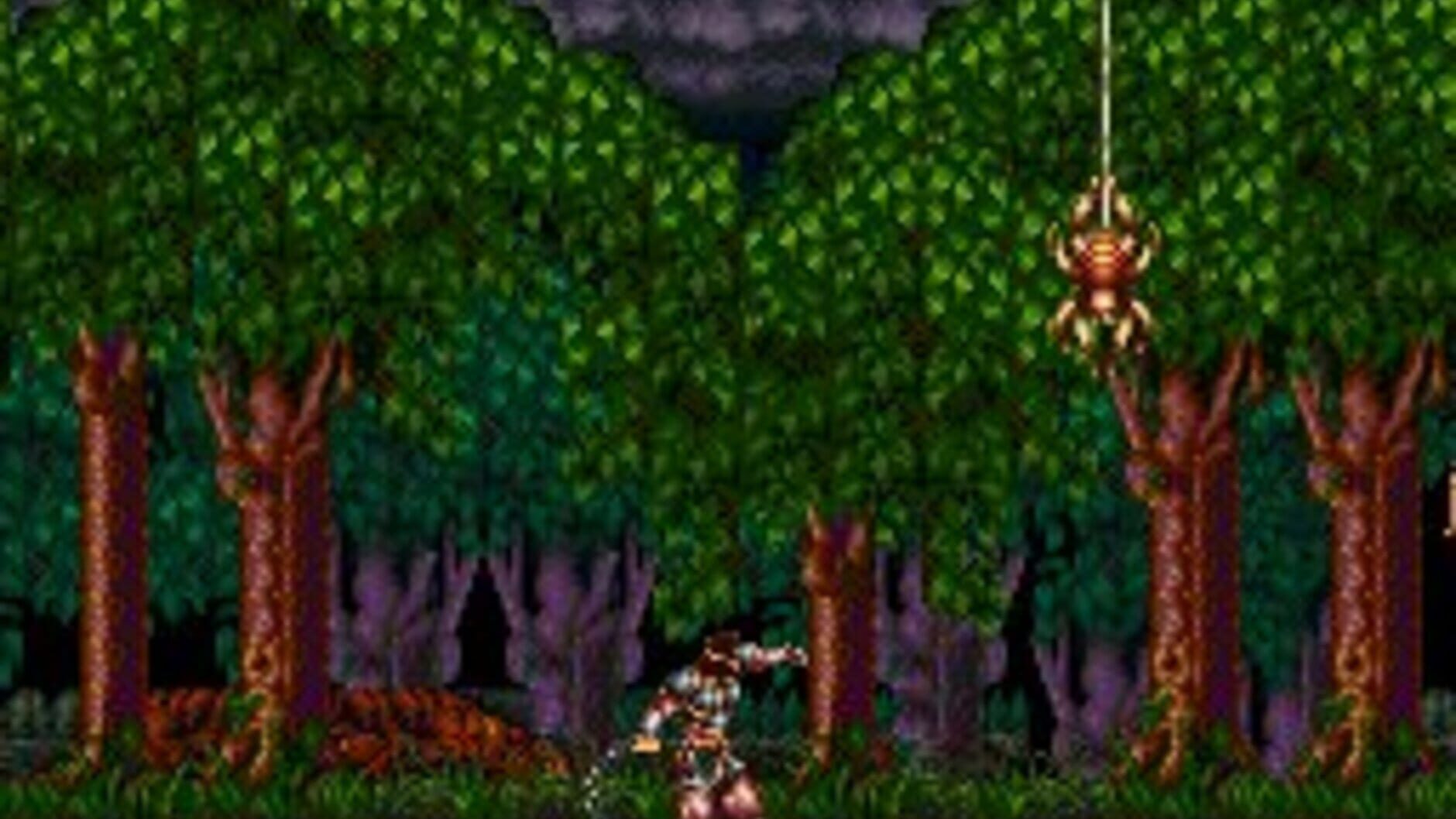 Screenshot for Super Castlevania IV