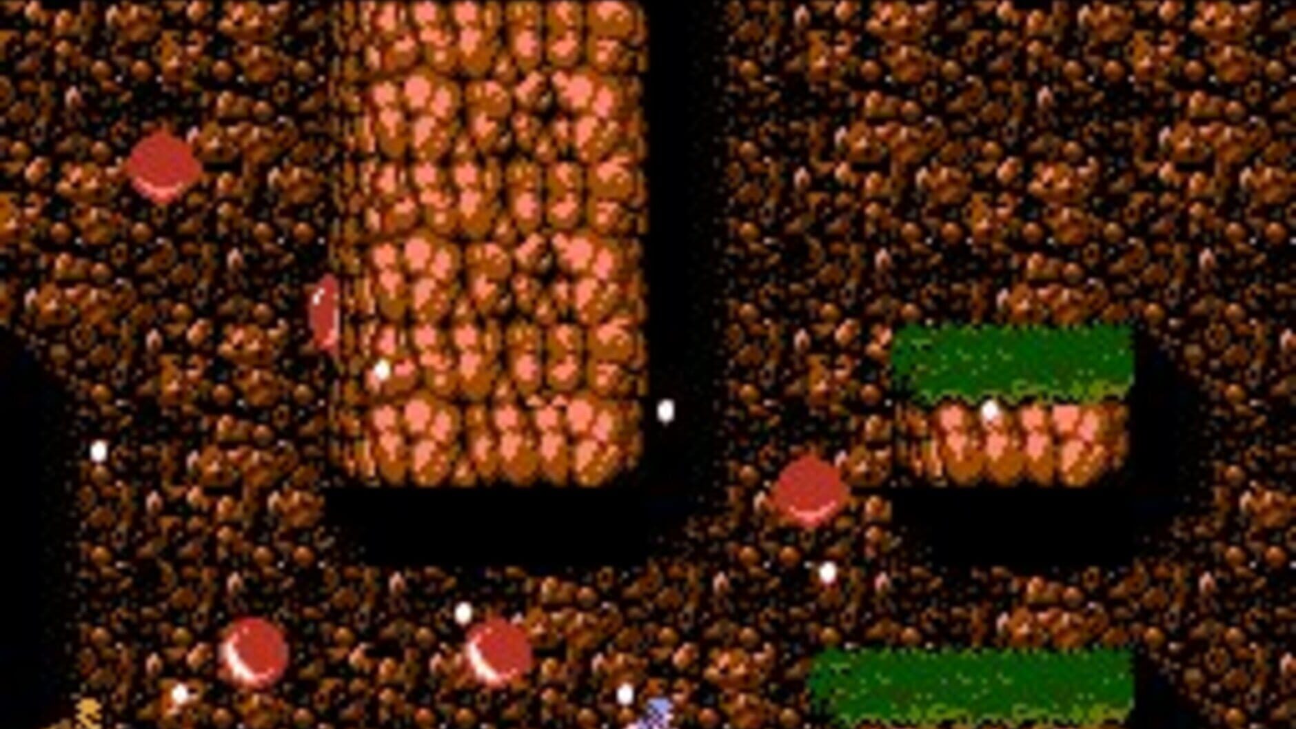 Screenshot for Ninja Gaiden II: The Dark Sword of Chaos