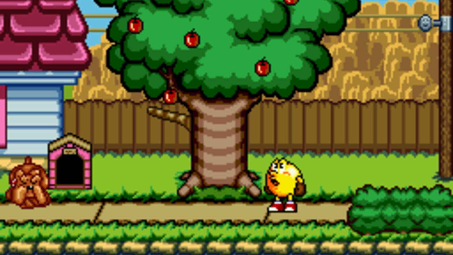 Screenshot for Pac-Man 2: The New Adventures