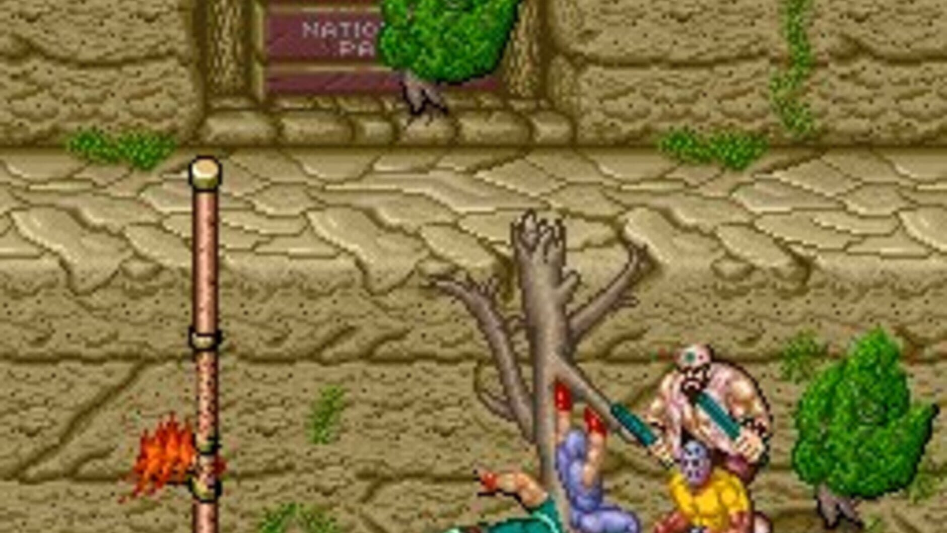 Screenshot for Ninja Gaiden