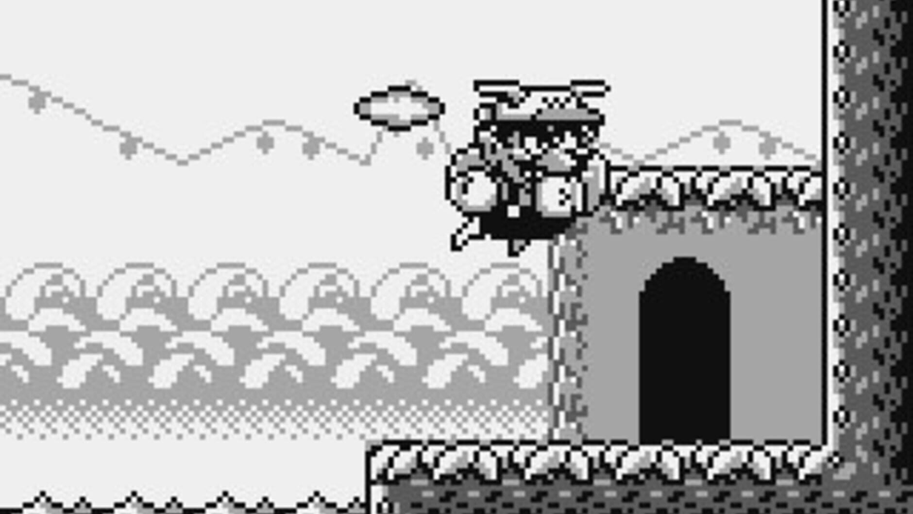 Screenshot for Wario Land: Super Mario Land 3