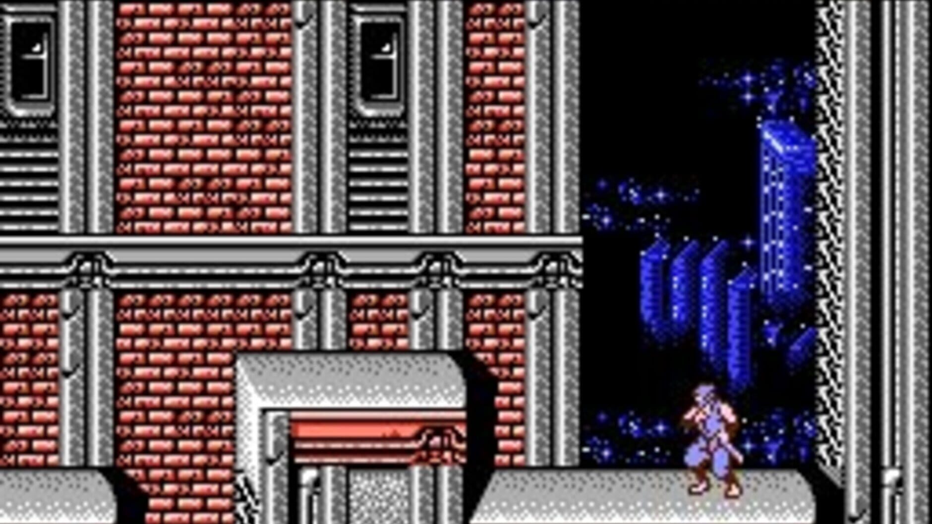 Screenshot for Ninja Gaiden II: The Dark Sword of Chaos