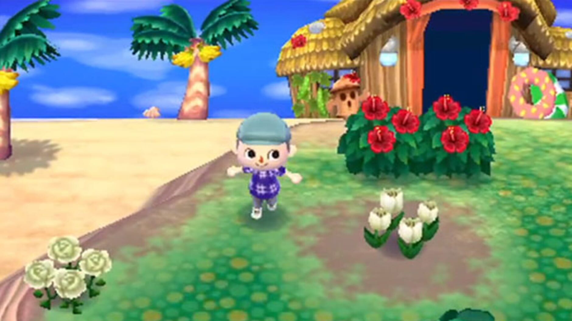 Screenshot for Animal Crossing: New Leaf