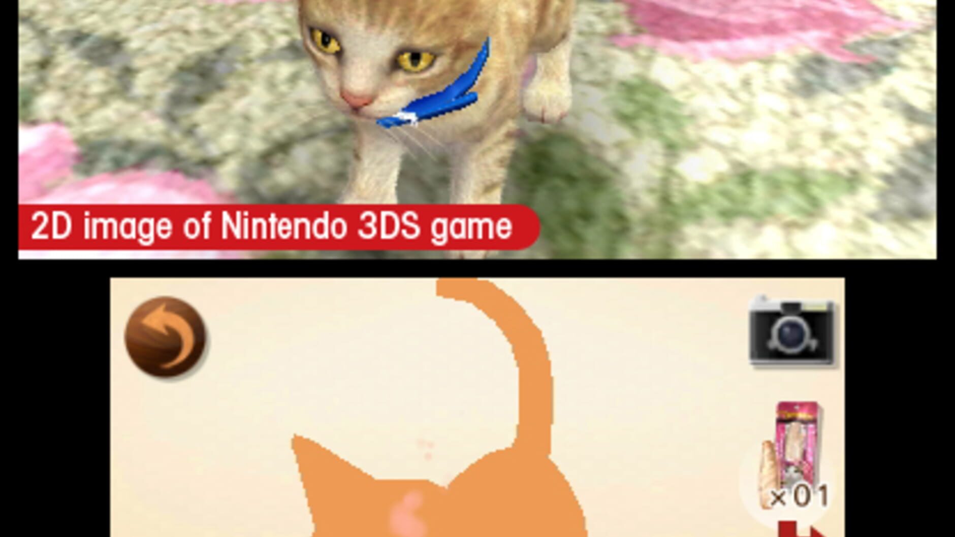 Screenshot for Nintendogs + Cats: French Bulldog & New Friends
