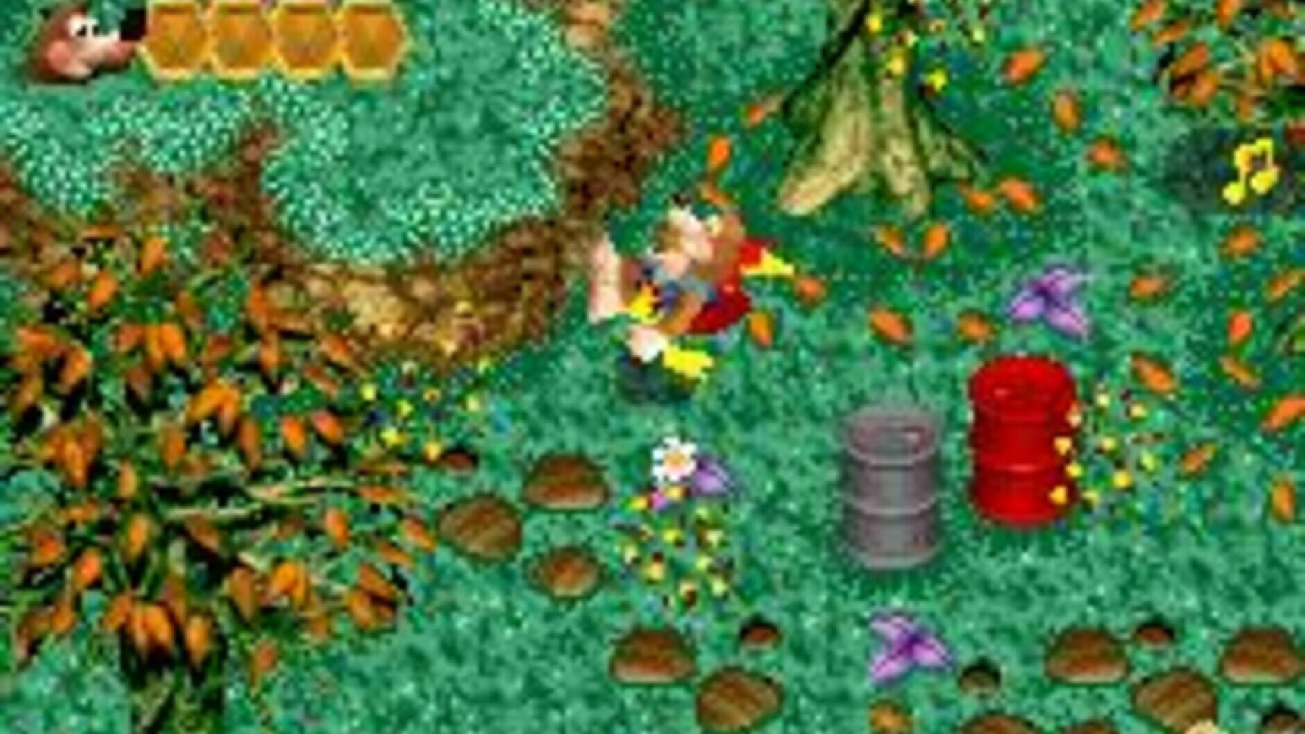 Screenshot for Banjo-Kazooie: Grunty's Revenge