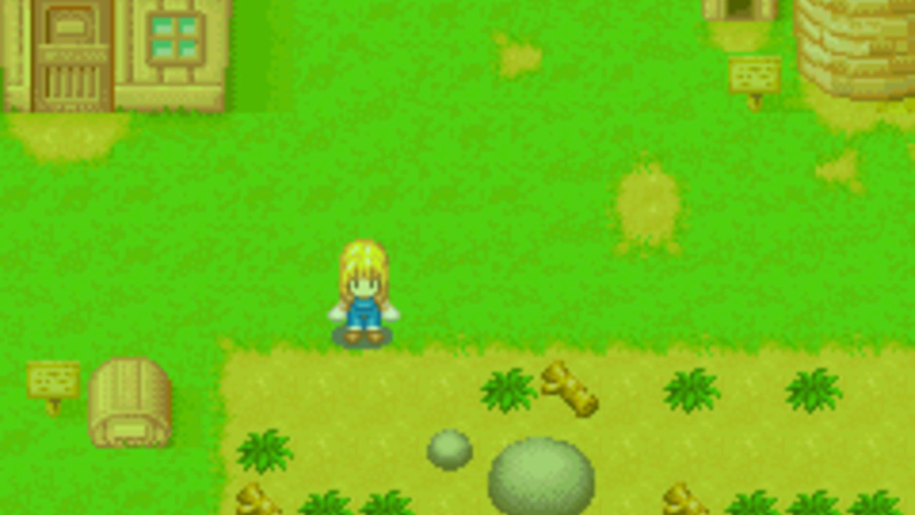 Screenshot for Harvest Moon: More Friends of Mineral Town