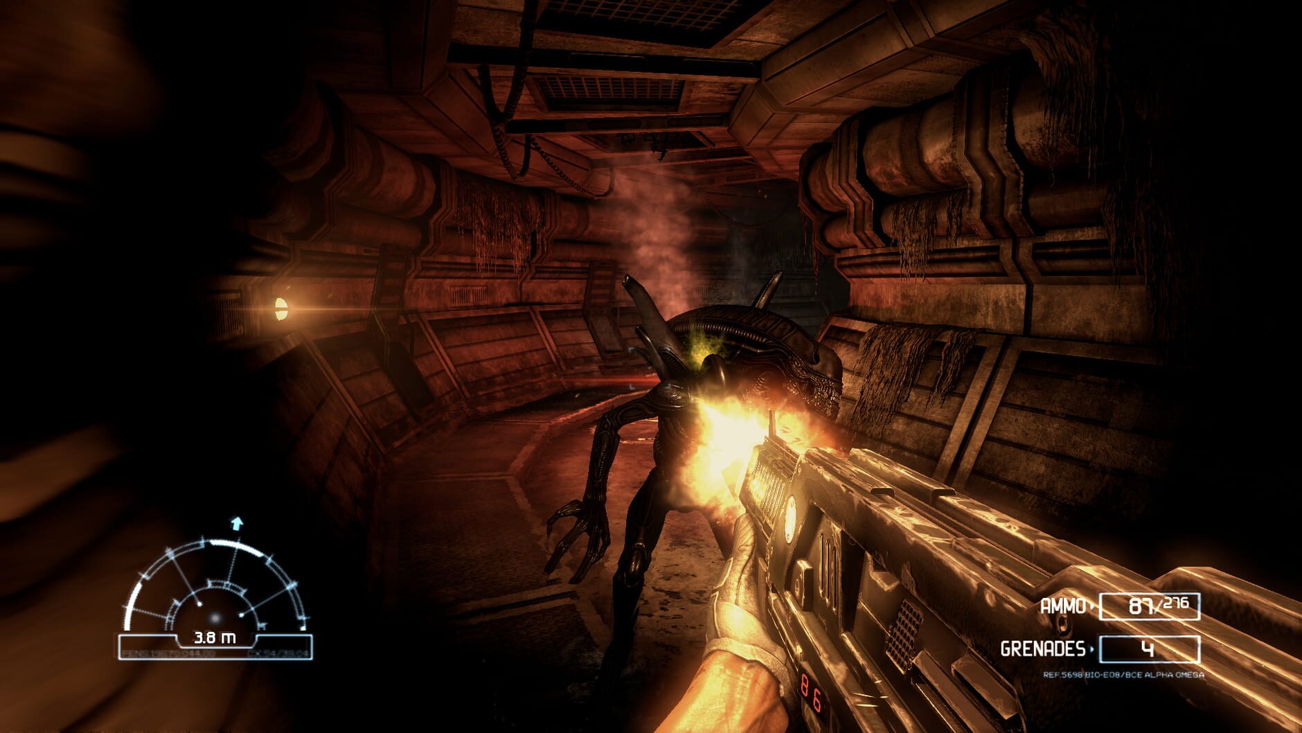 Screenshot for Aliens vs. Predator