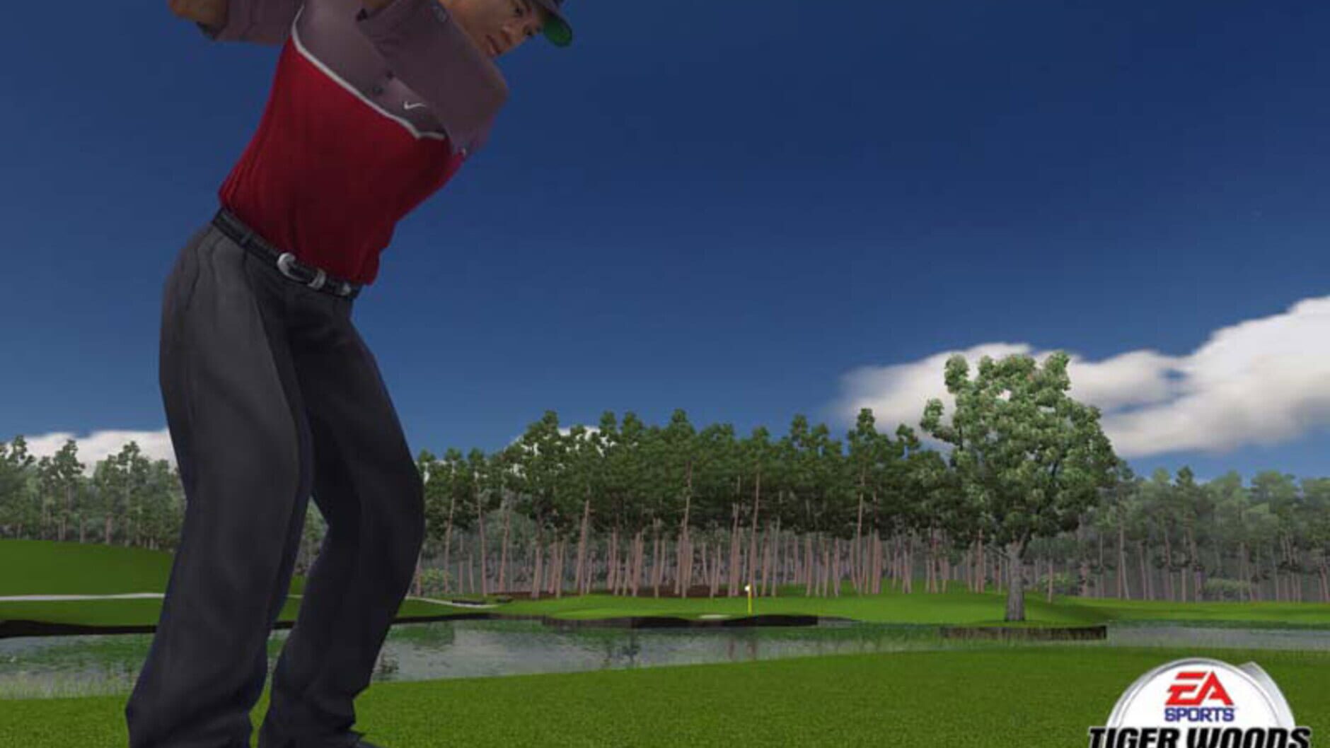 Screenshot for Tiger Woods PGA Tour 2005
