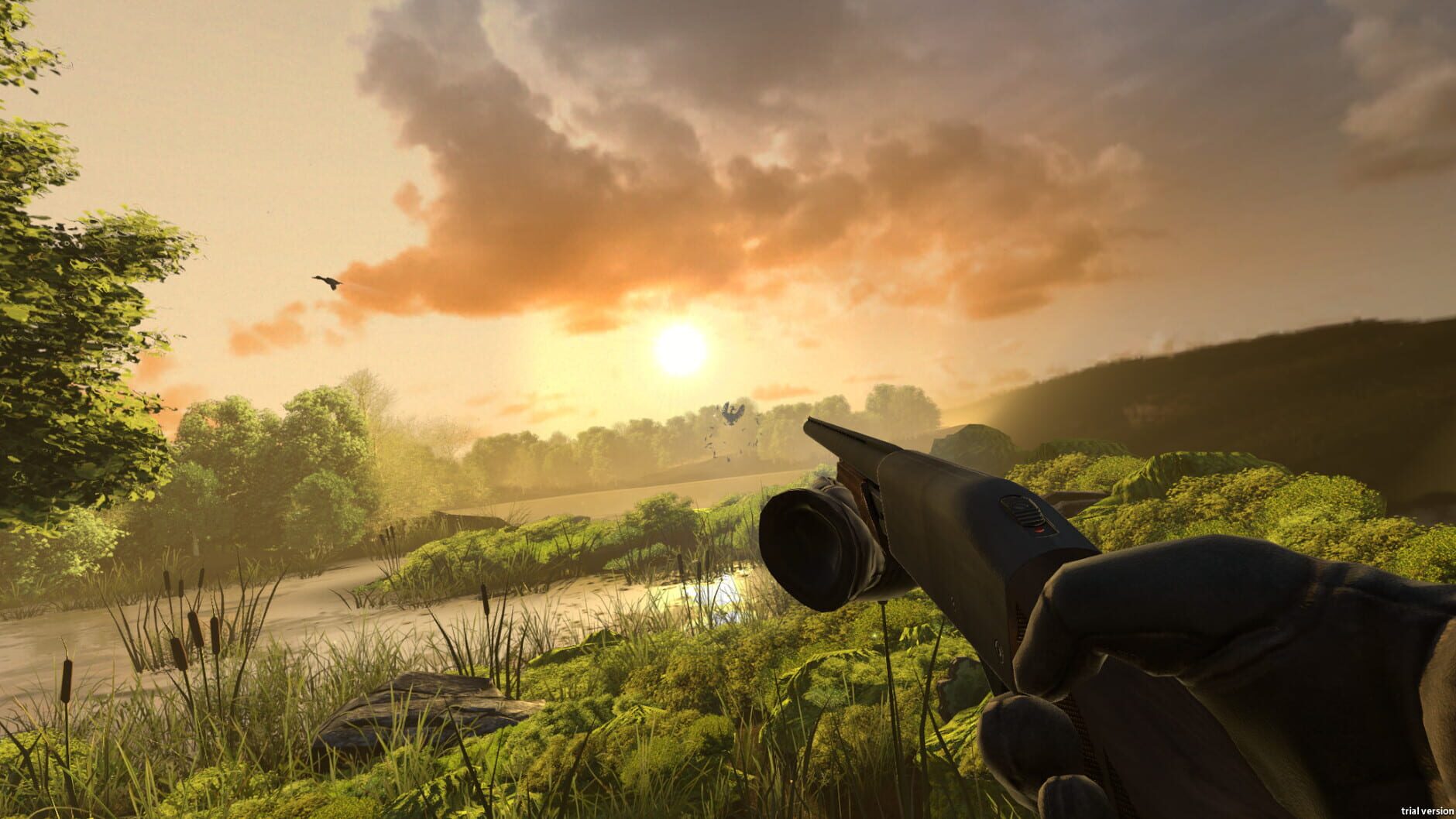 Screenshot for Duck Season