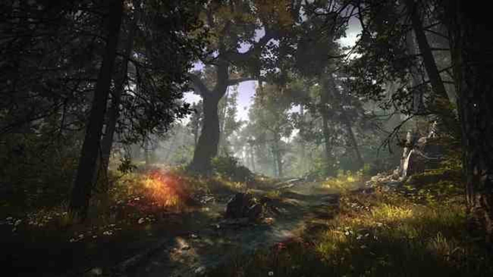 Screenshot for The Witcher 2: Assassins of Kings - Enhanced Edition
