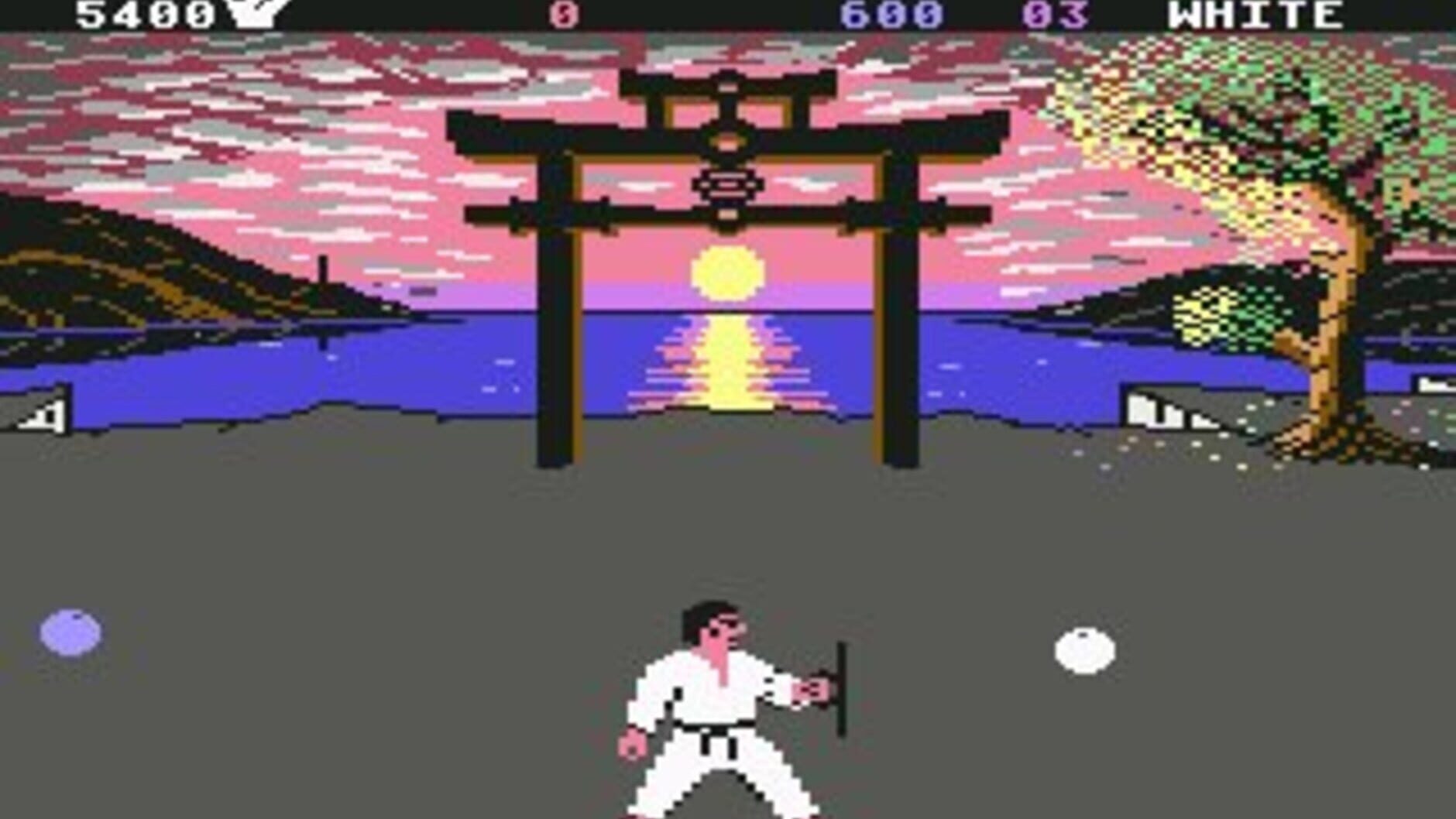 Screenshot for International Karate +