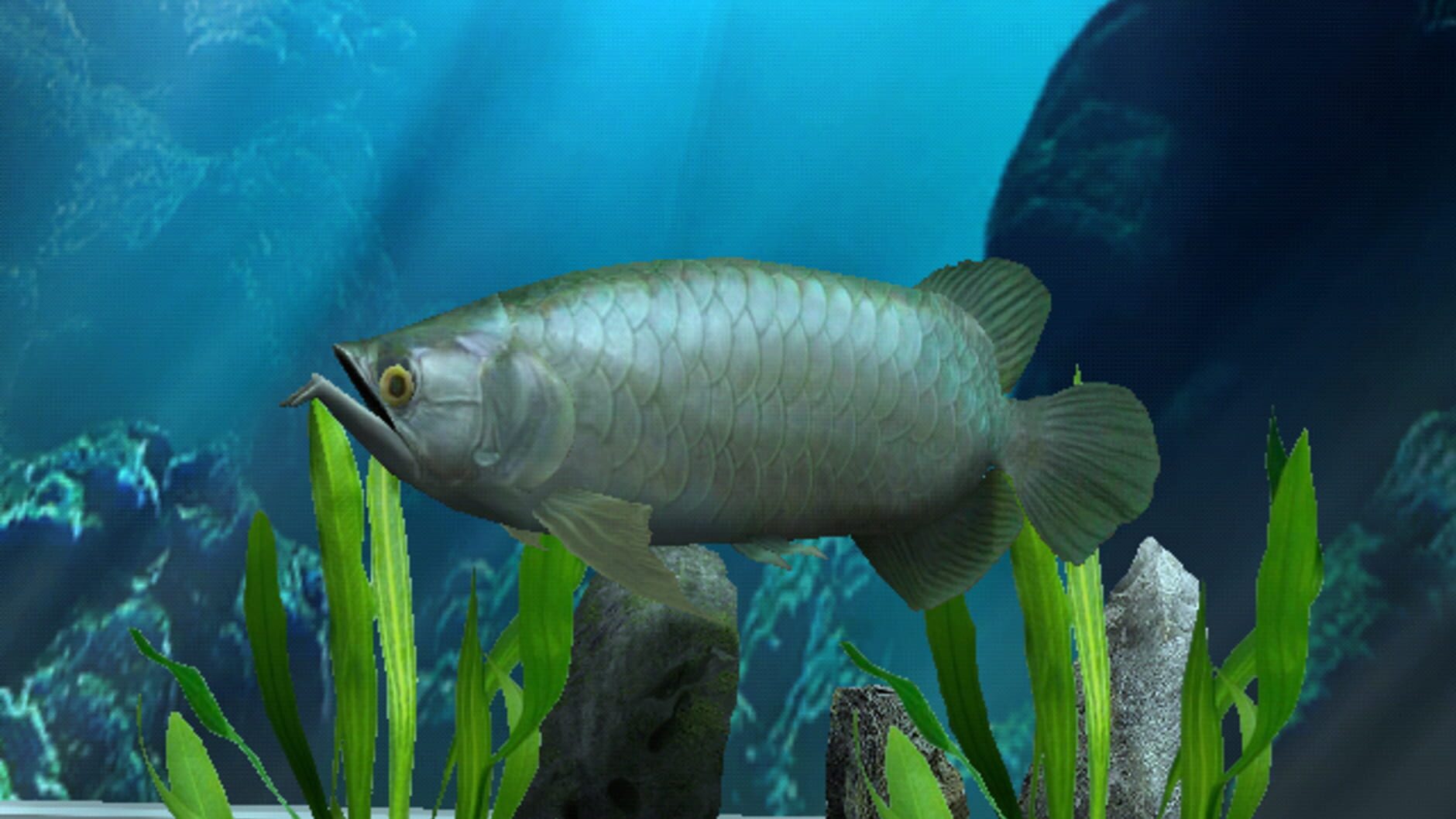 Screenshot for My Aquarium