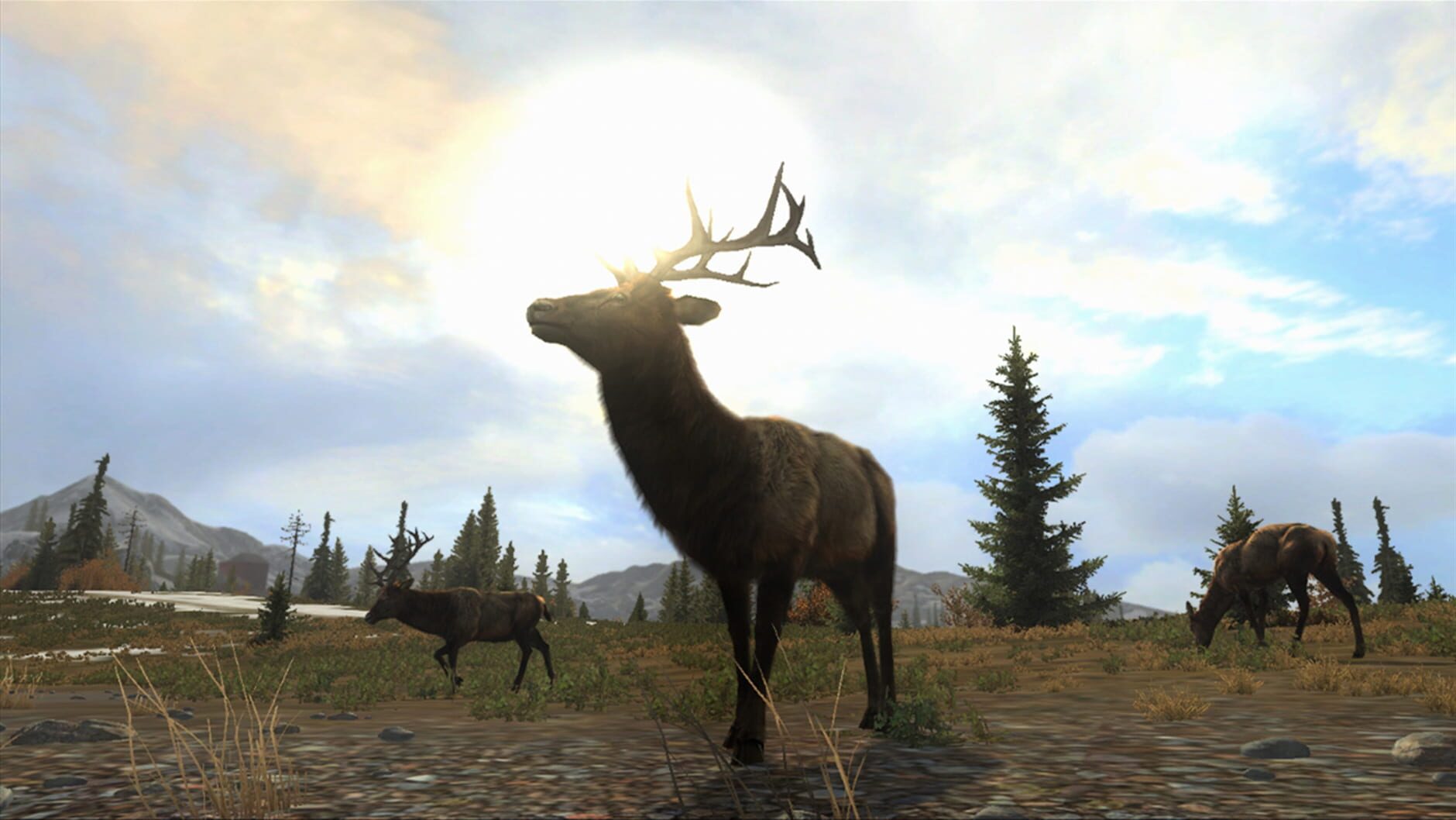 Screenshot for Cabela's Big Game Hunter: Pro Hunts