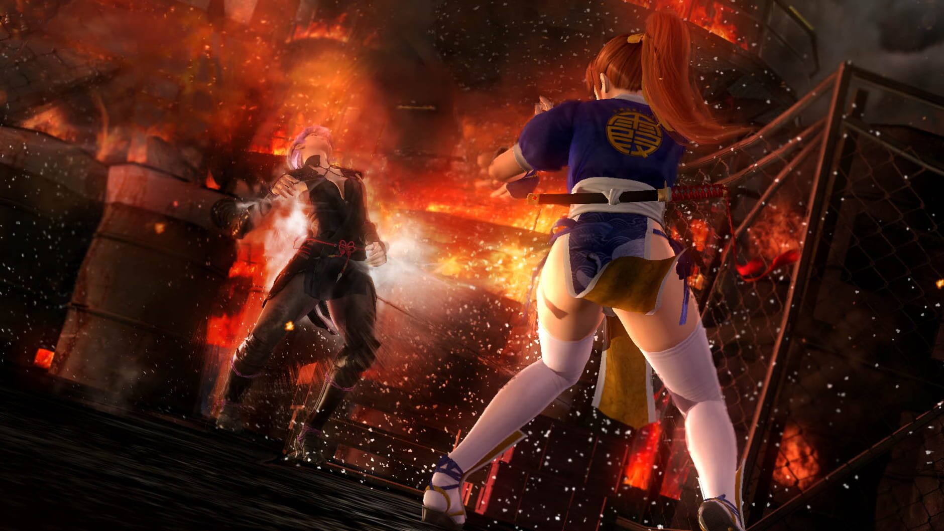 Screenshot for Dead or Alive 5 Last Round: Core Fighters