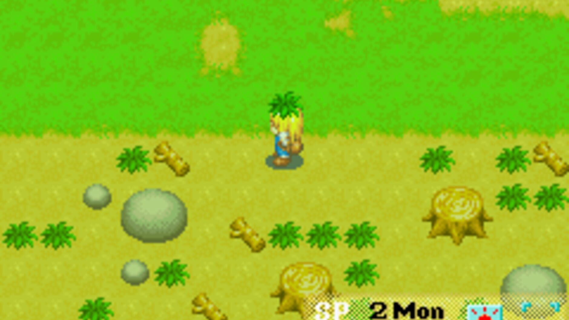 Screenshot for Harvest Moon: More Friends of Mineral Town
