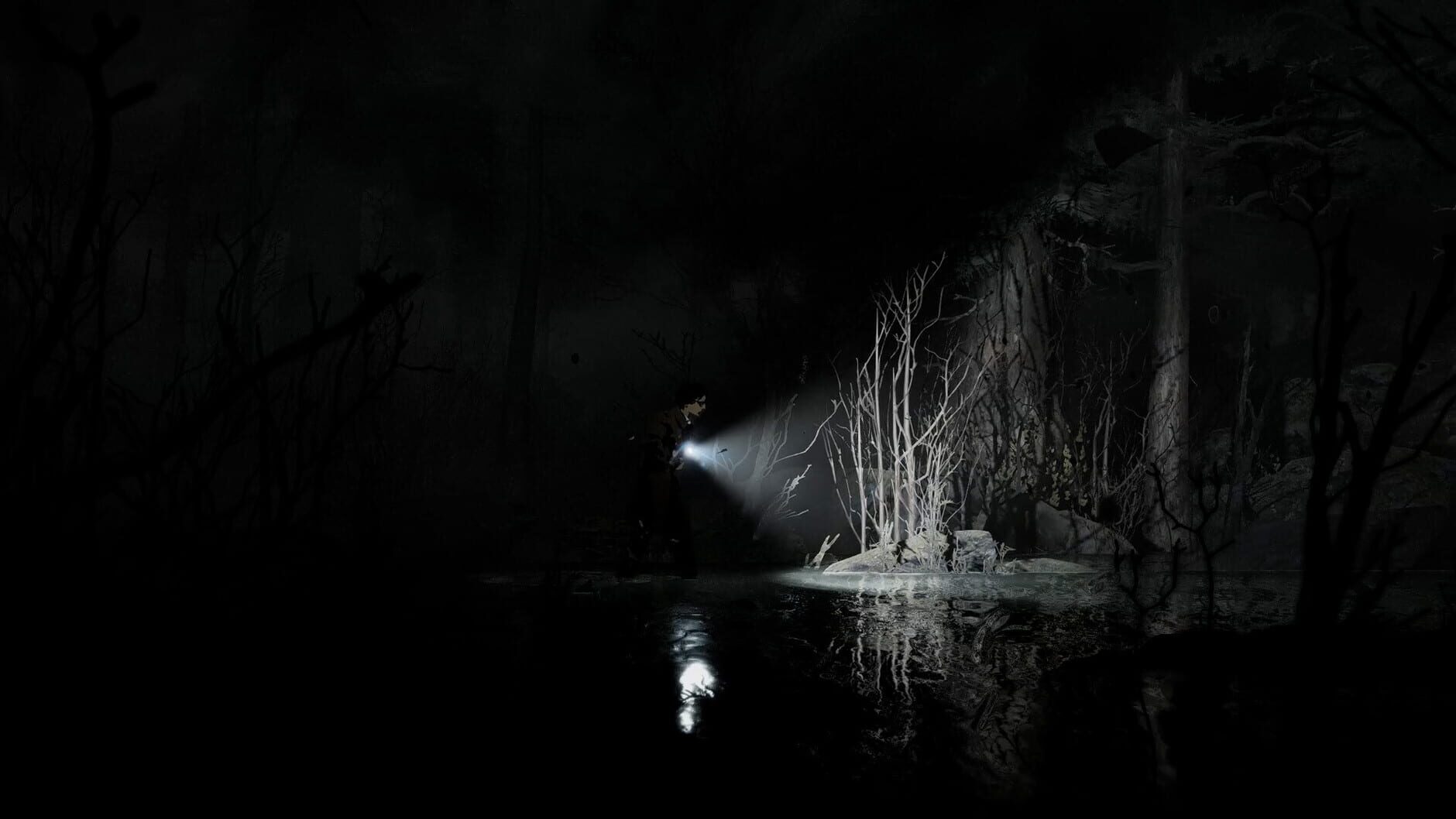 Screenshot for Silver Pines