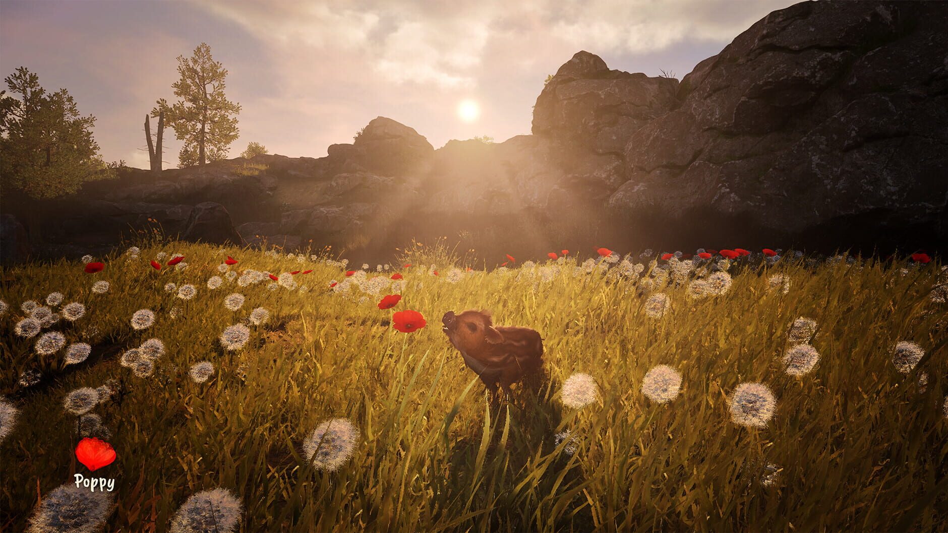 Screenshot for Adorable Adventures