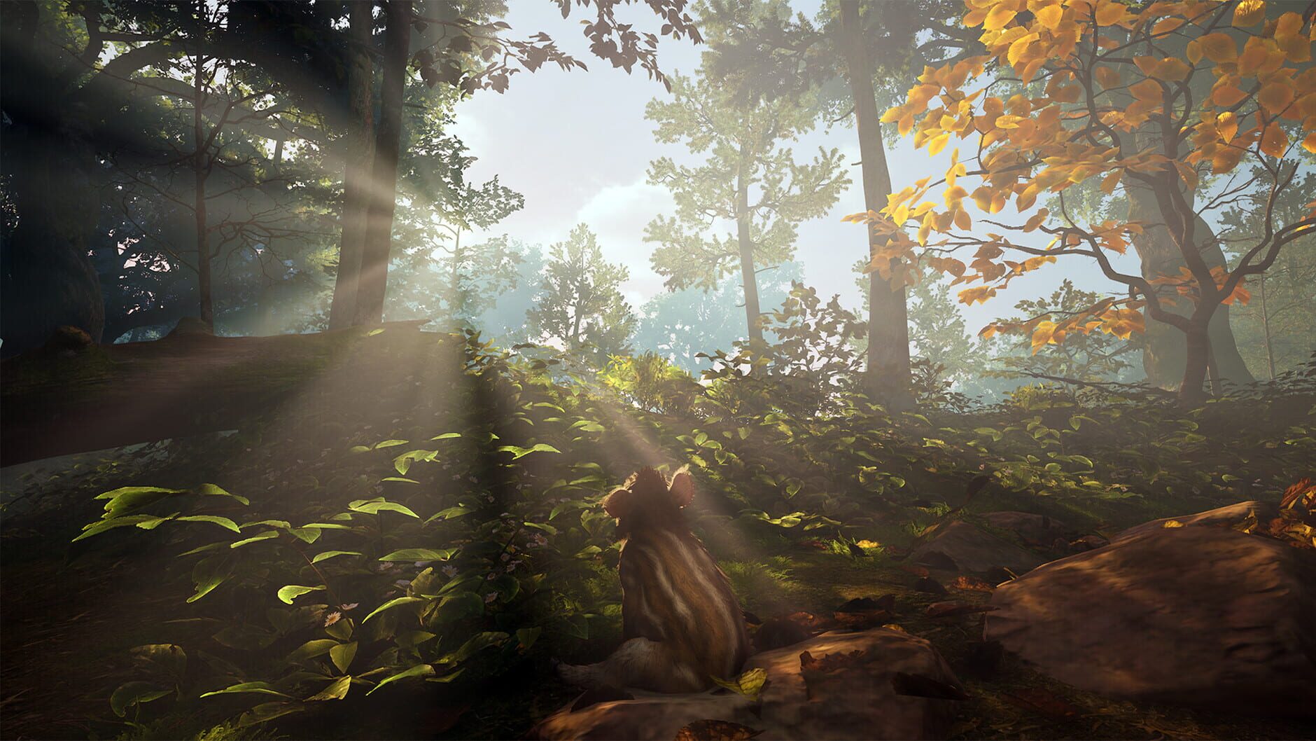 Screenshot for Adorable Adventures