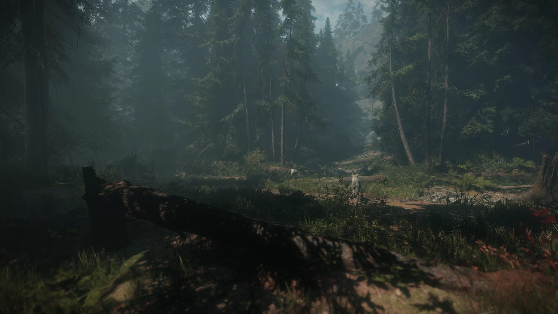 Screenshot for Maid of Sker