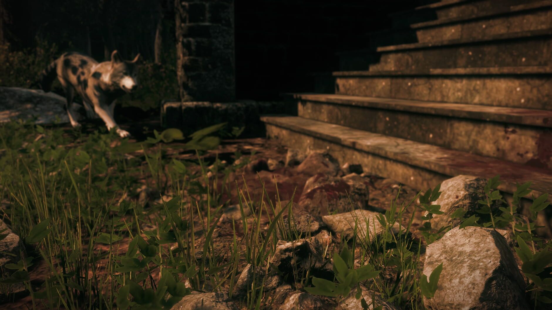 Screenshot for Maid of Sker