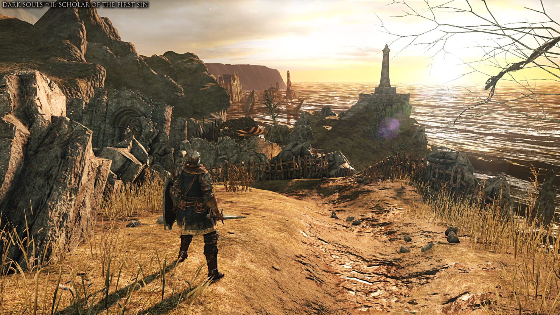 Screenshot for Dark Souls Trilogy