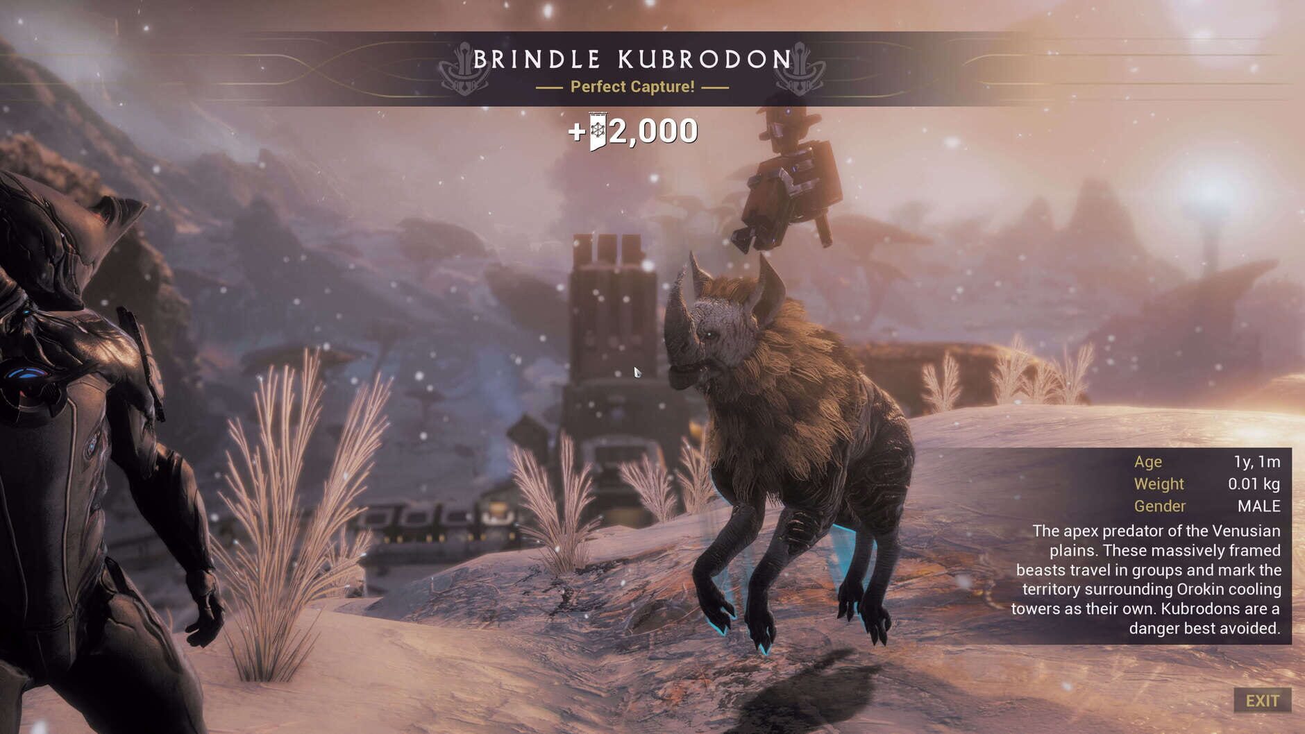 Screenshot for Warframe: Fortuna