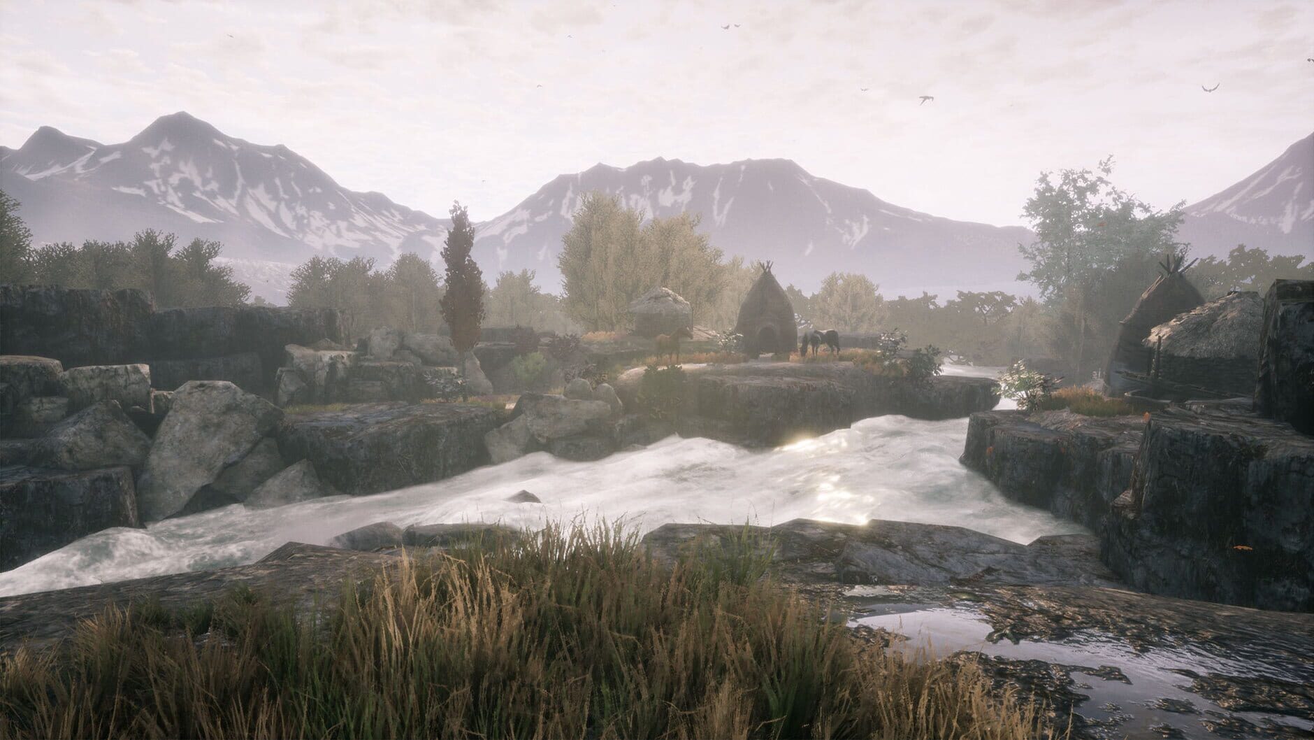 Screenshot for The Dead Tree of Ranchiuna