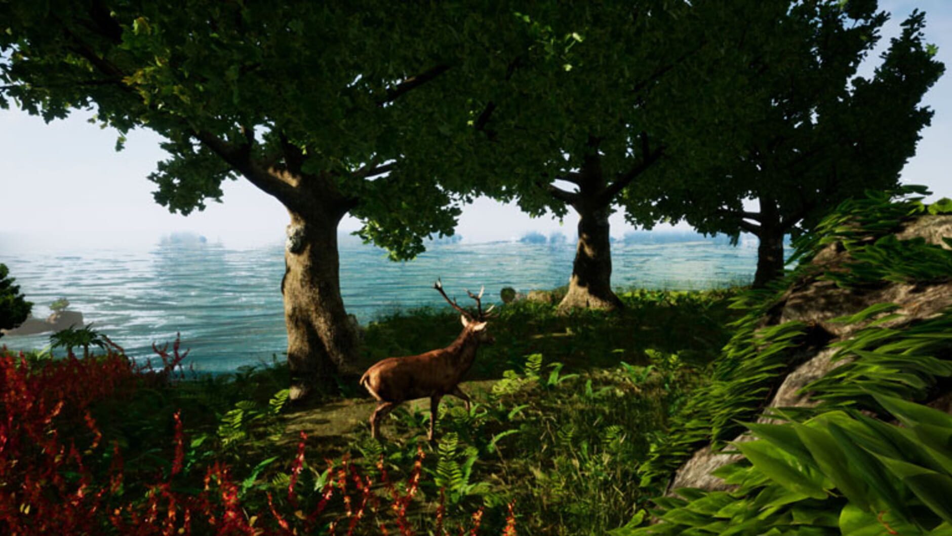 Screenshot for Away: The Survival Series
