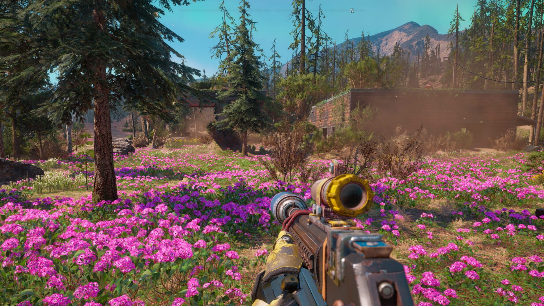 Screenshot for Far Cry New Dawn
