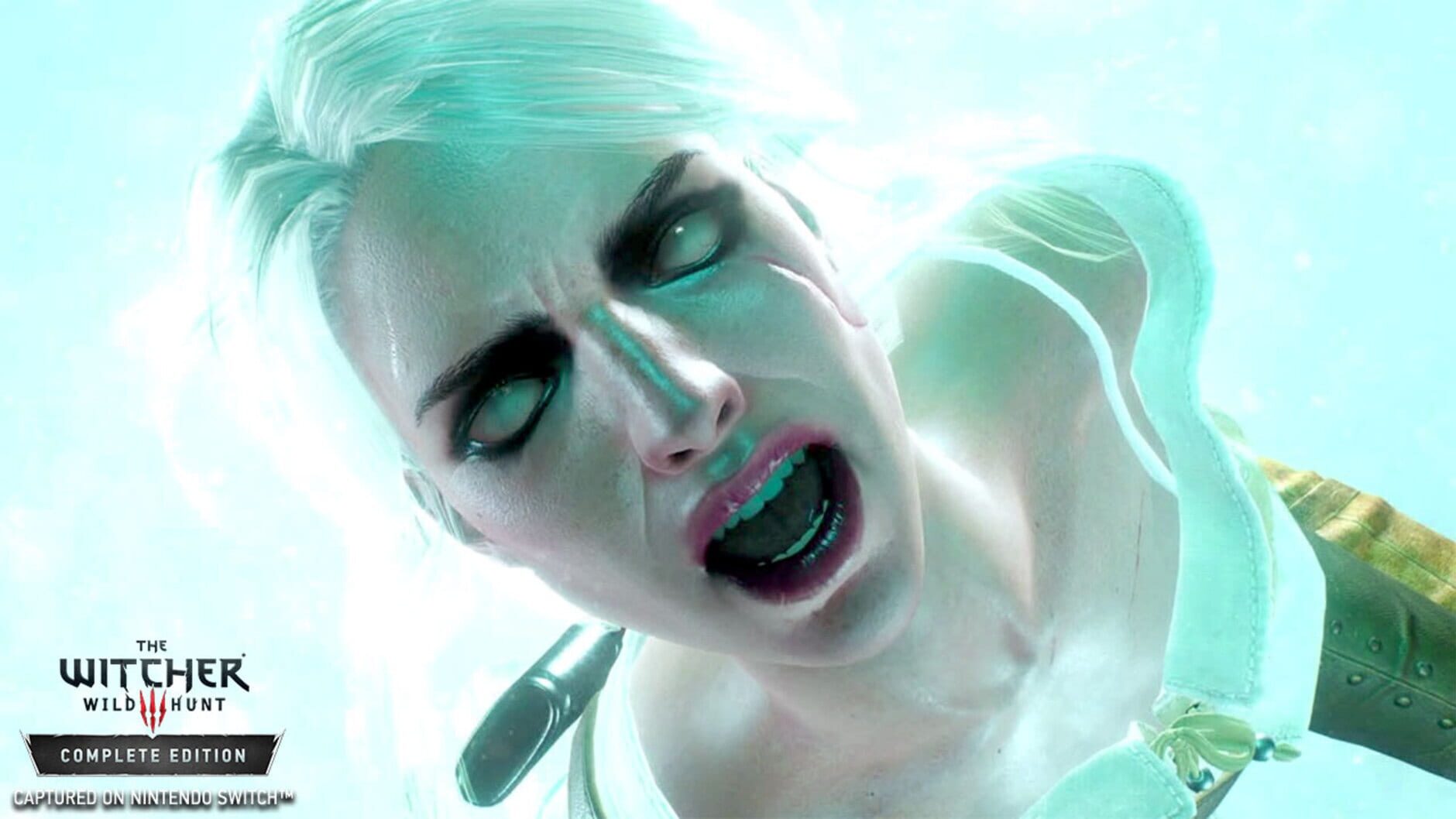 Screenshot for The Witcher 3: Wild Hunt - Complete Edition