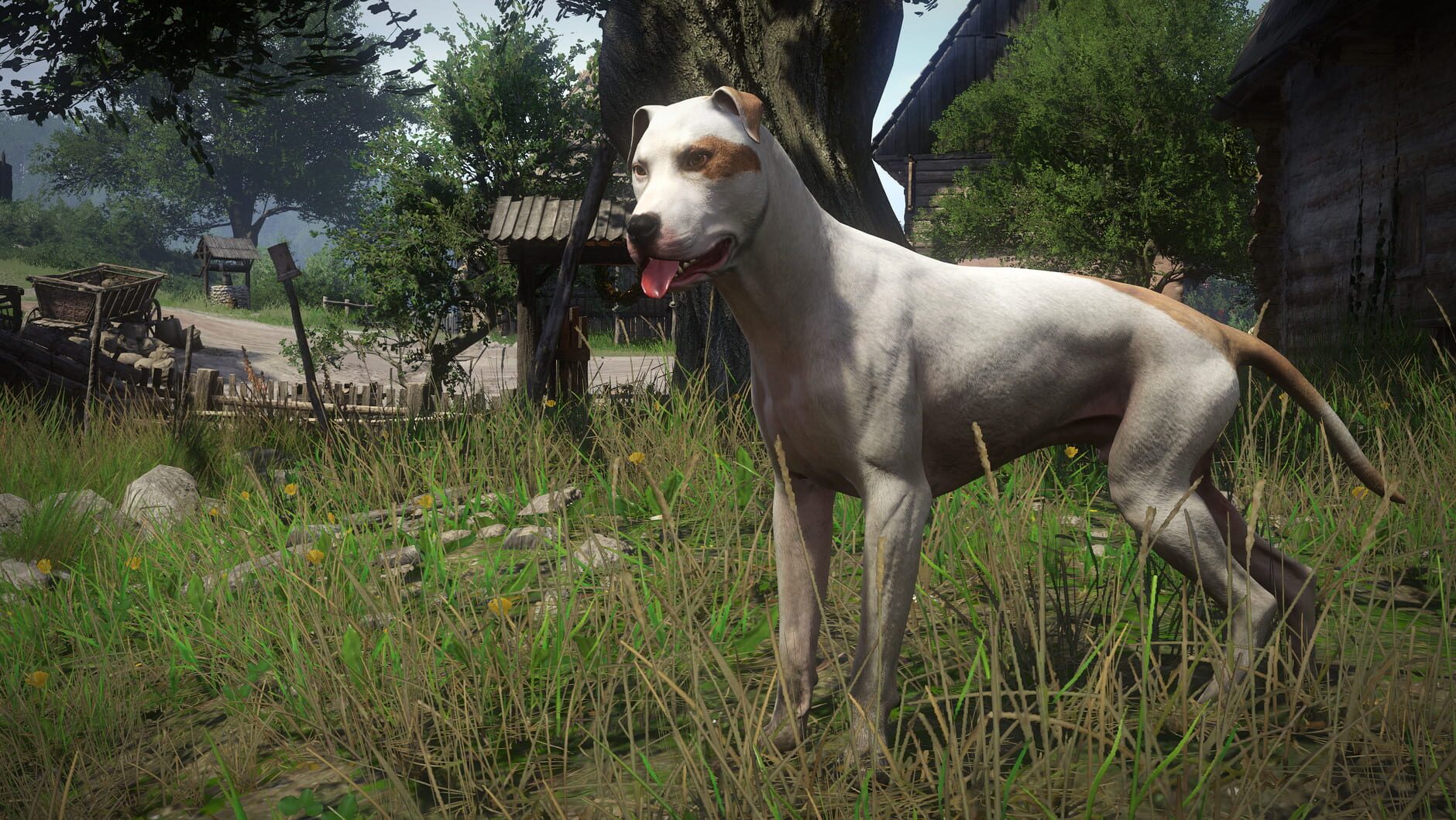 Screenshot for Kingdom Come: Deliverance - A Woman's Lot