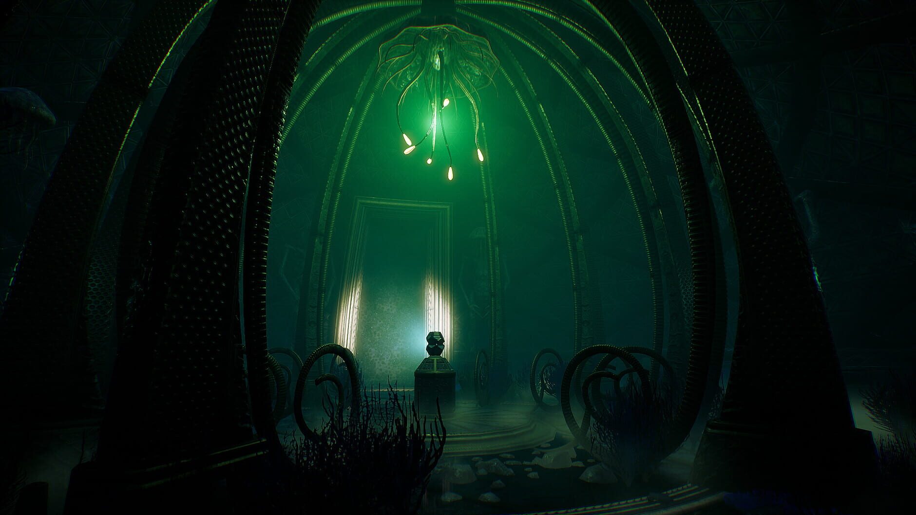 Screenshot for Transient