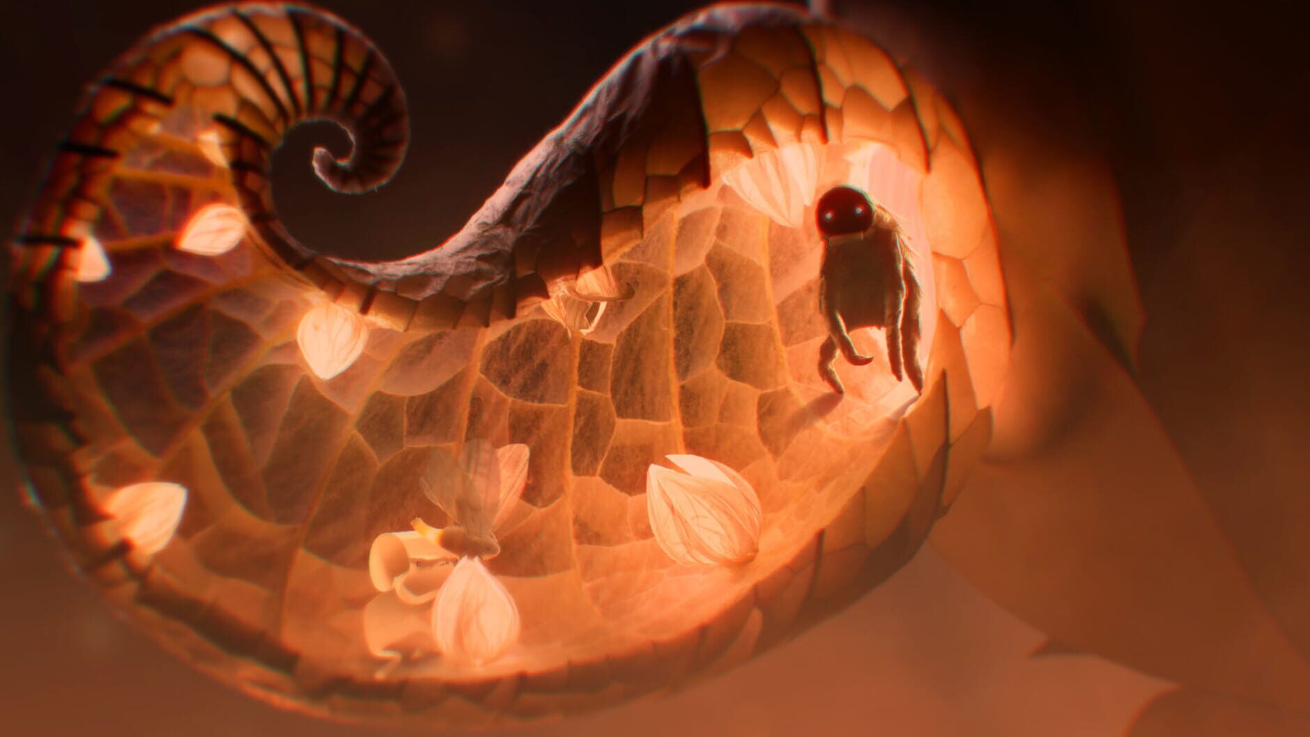 Screenshot for Papetura